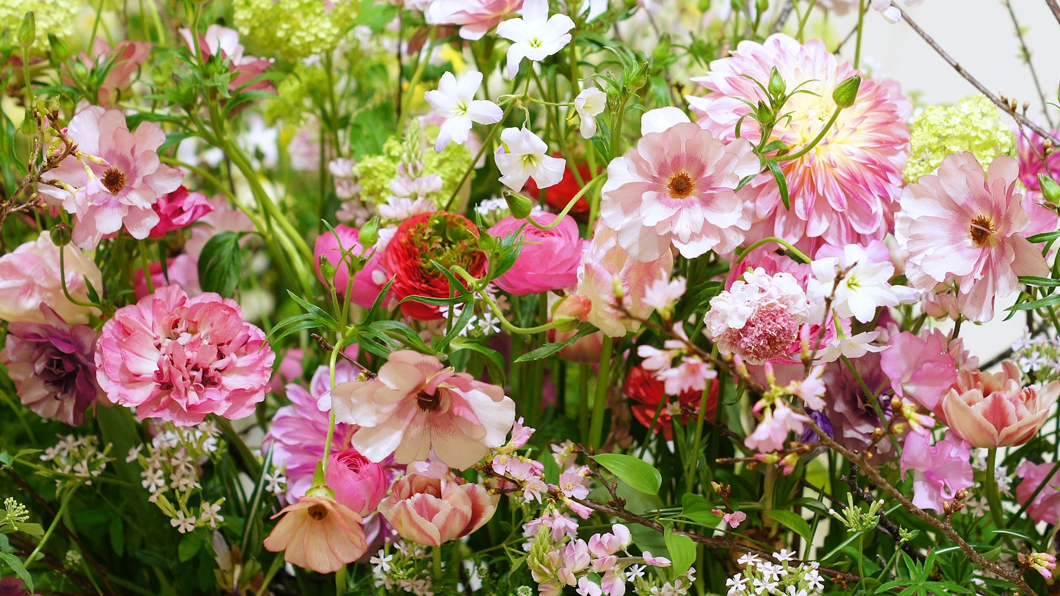 Ein schöner Strauß bunter Blumen in verschiedenen Farben