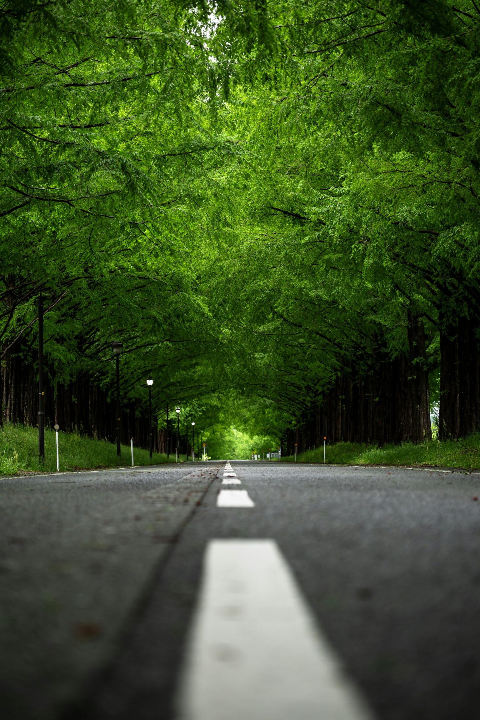 photo-2P5mkEZapYMmkzlMb2xY-image