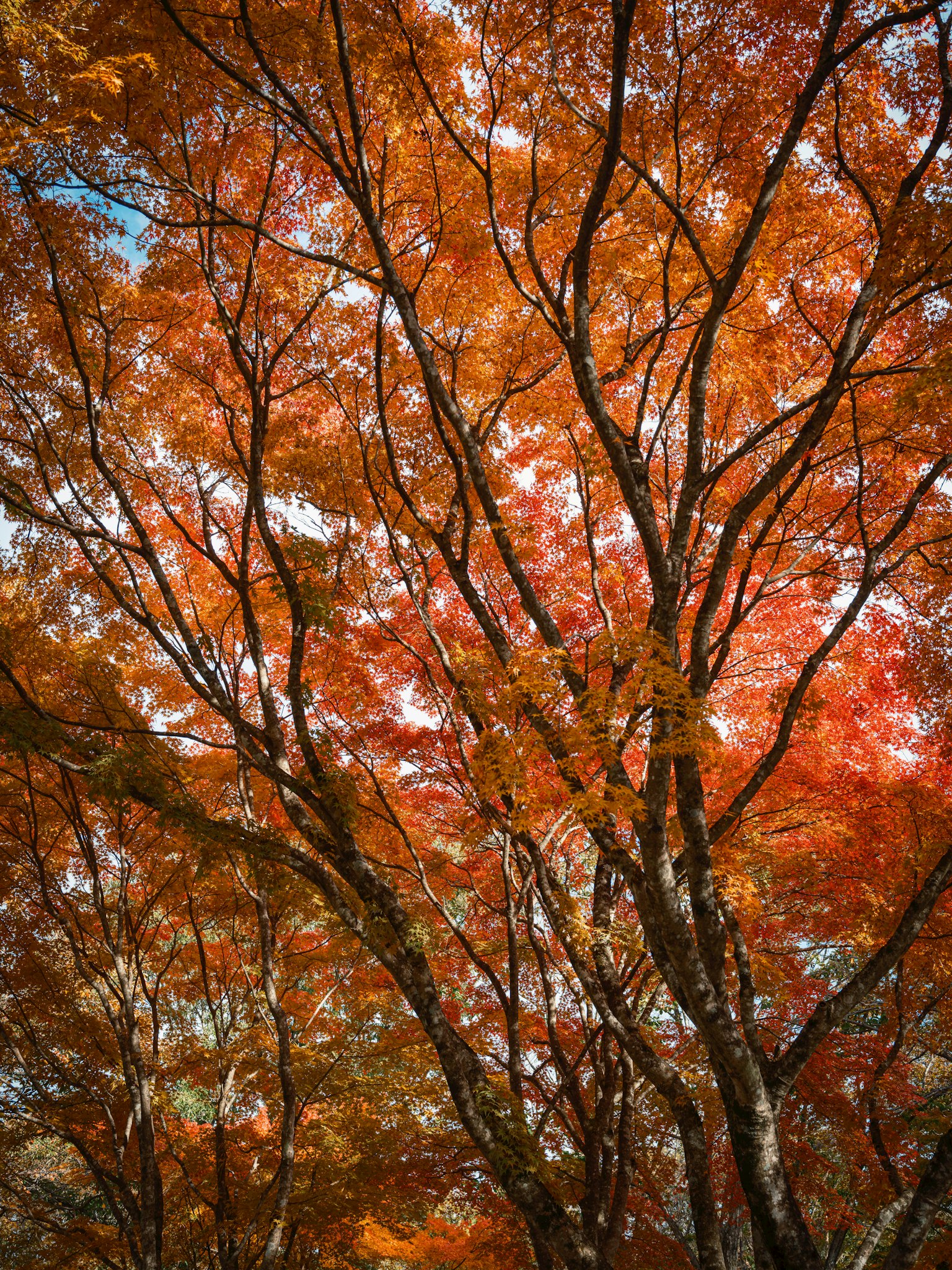 photo-2PScjiy7Sgod1n3VFmIX-image