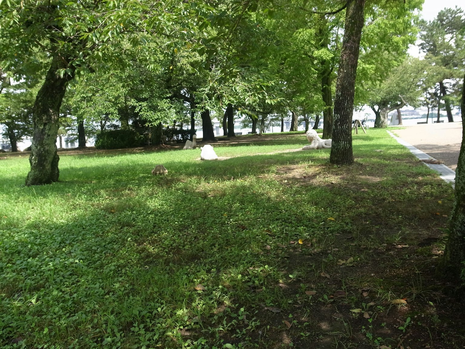 Üppiger grüner Park mit Gras und Bäumen