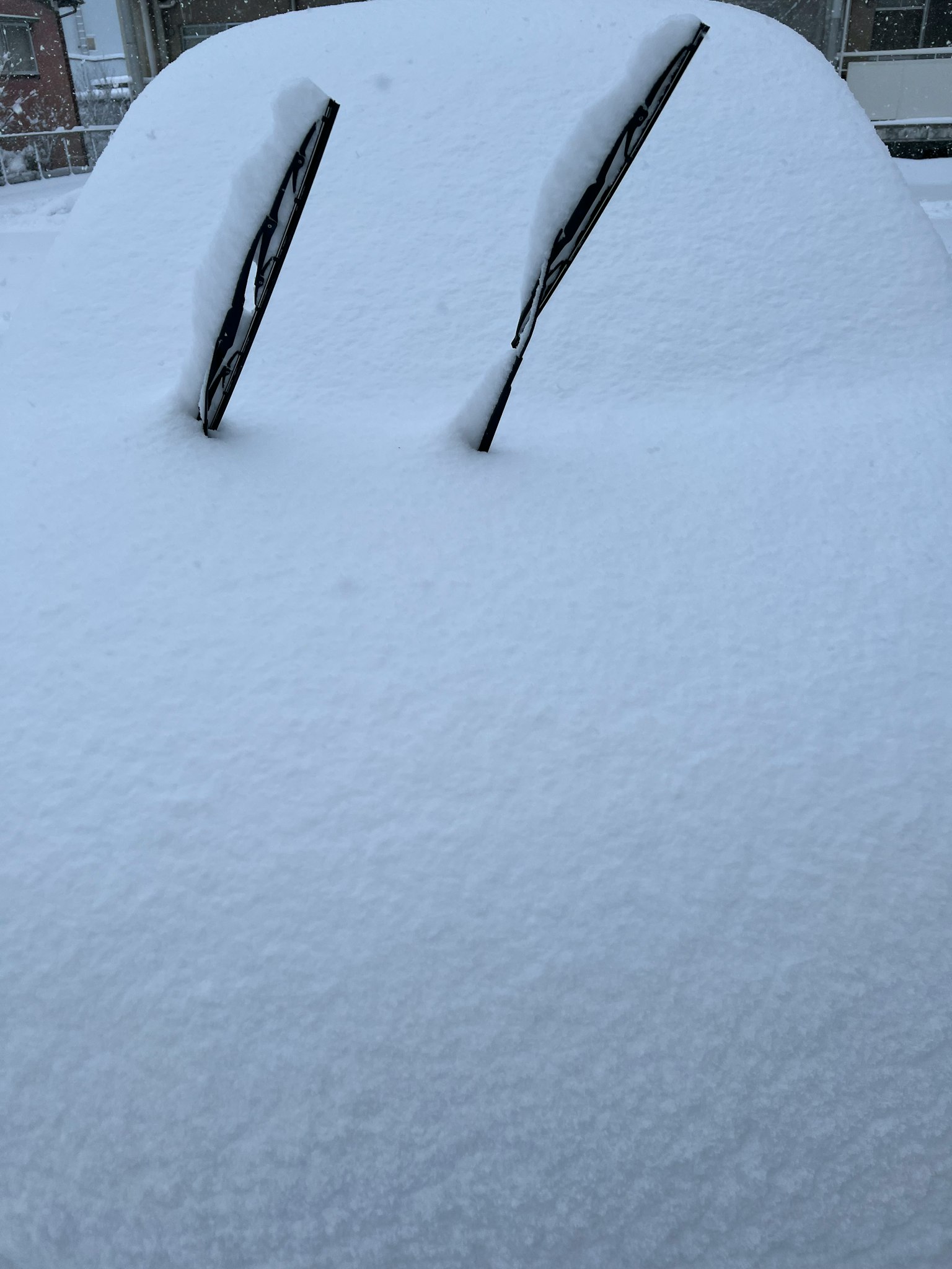 รถที่ปกคลุมด้วยหิมะหนาและมีที่ปัดน้ำฝนที่มองเห็นได้