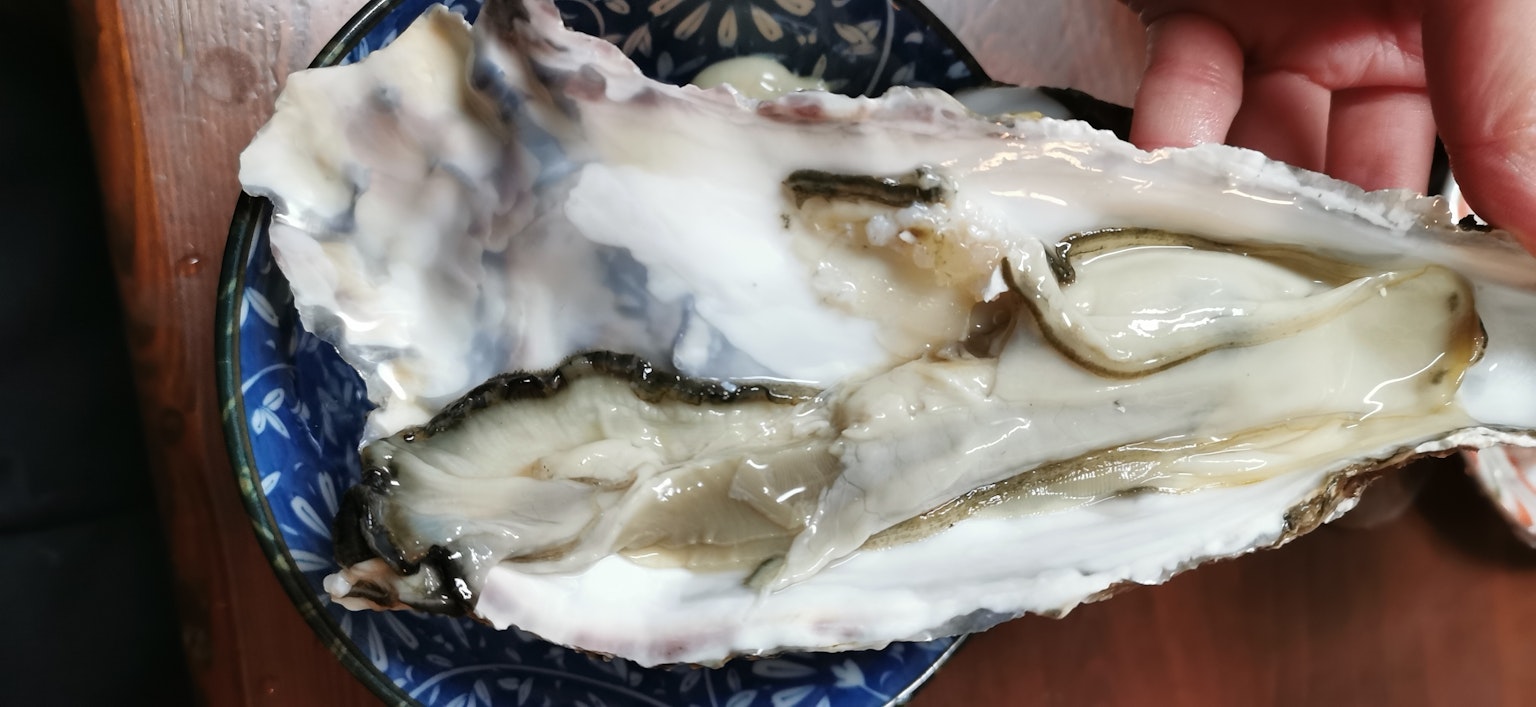 手握着的大牡蛎放在蓝色盘子上