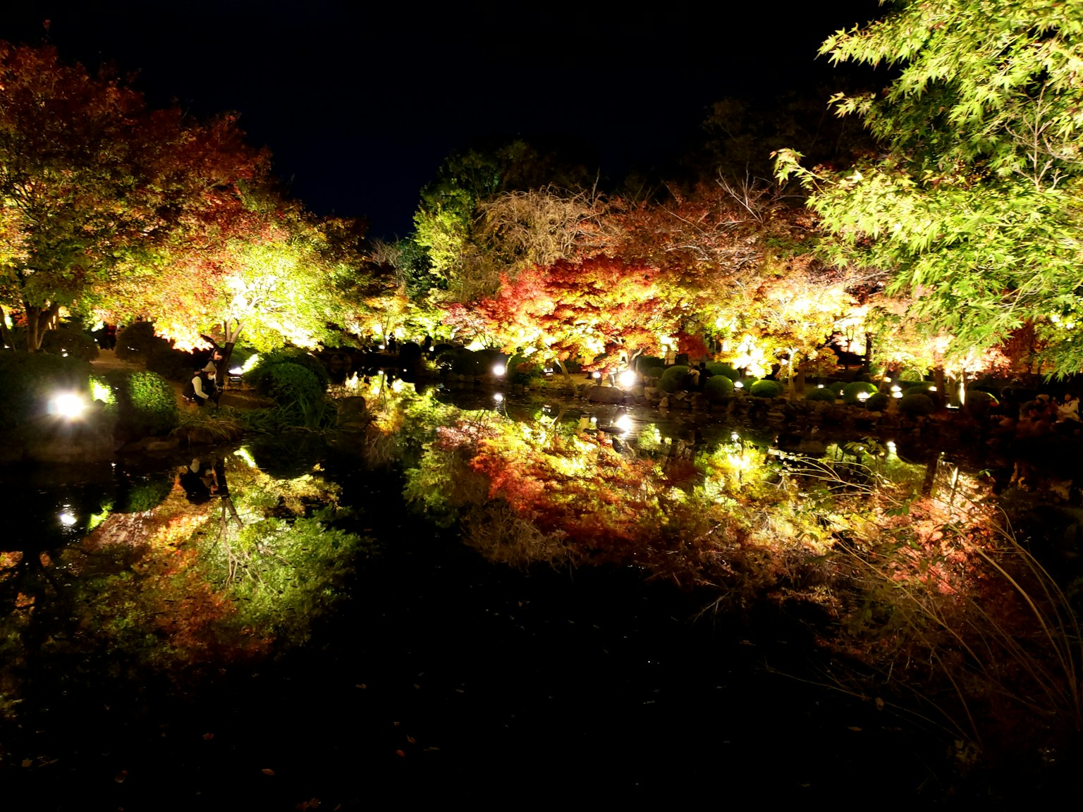 Bellissimo scenario di giardino notturno foglie autunnali vivaci e luci riflesse sull'acqua