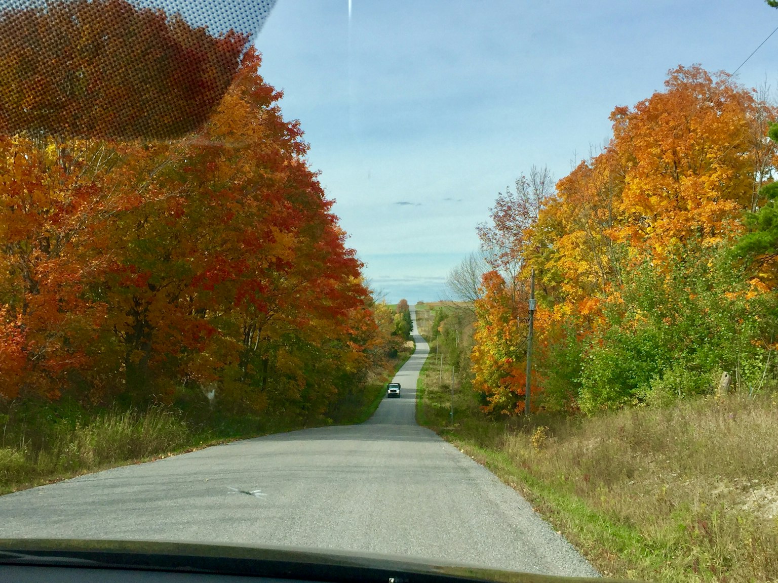 Malerische Landstraße gesäumt von Herbstlaub