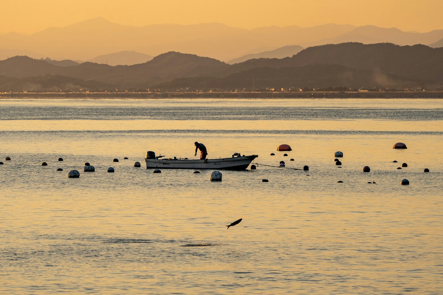 A fishing boat on the sea during sunset with buoys in the water