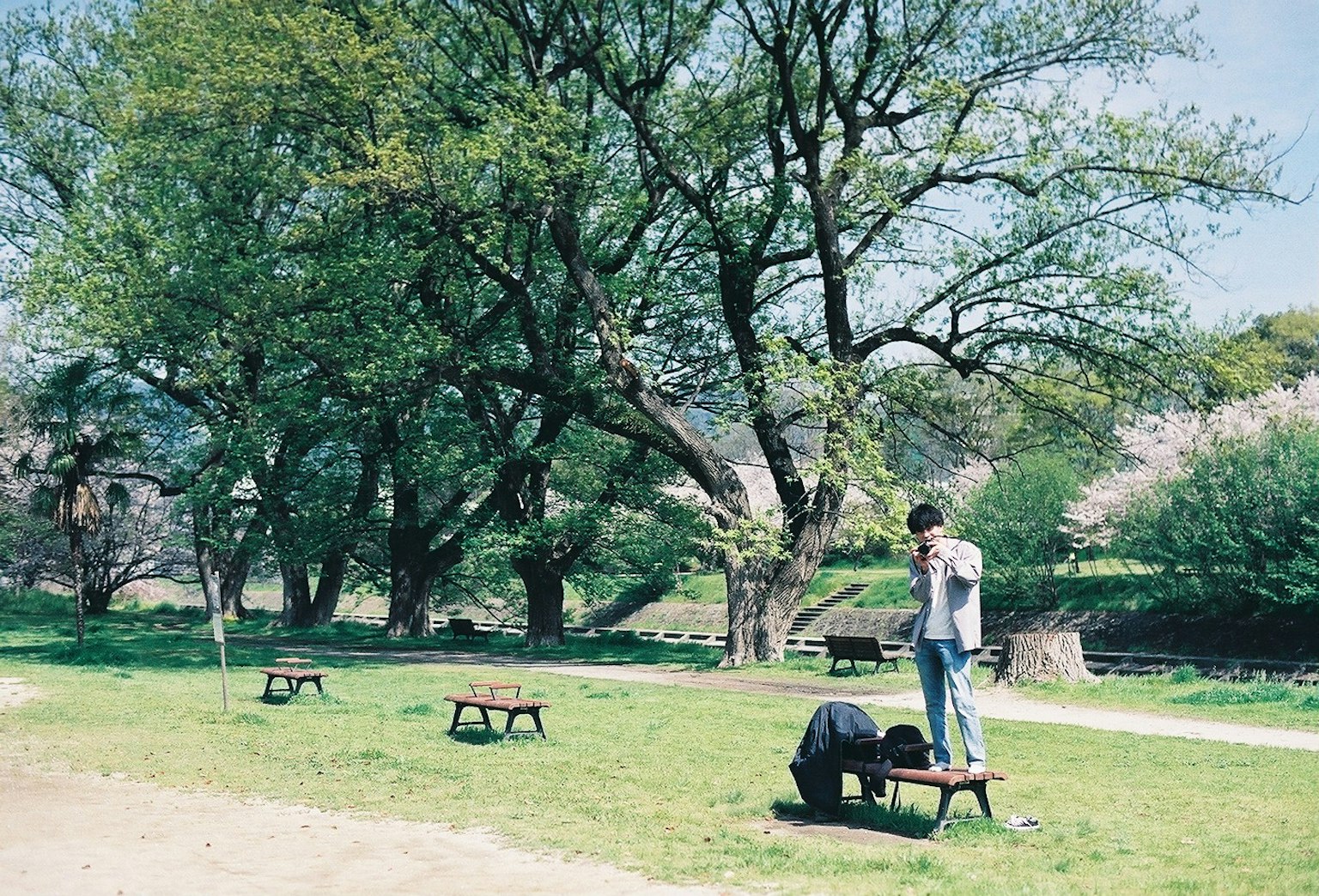 兩人在綠樹環繞的公園裡工作