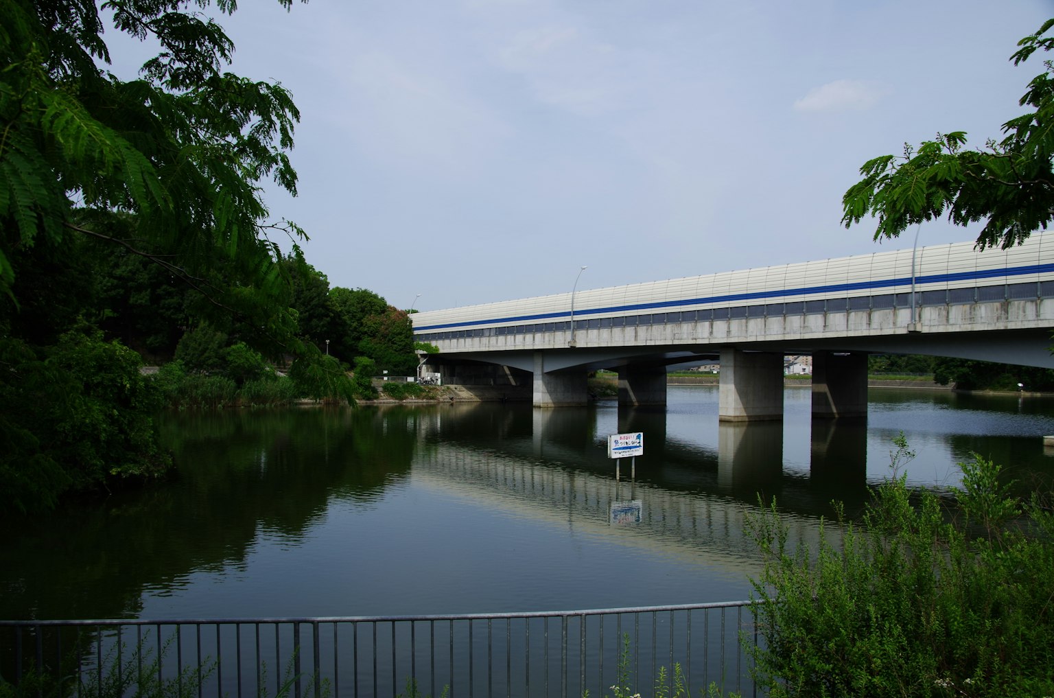Vista escénica de un río con un puente rodeado de vegetación