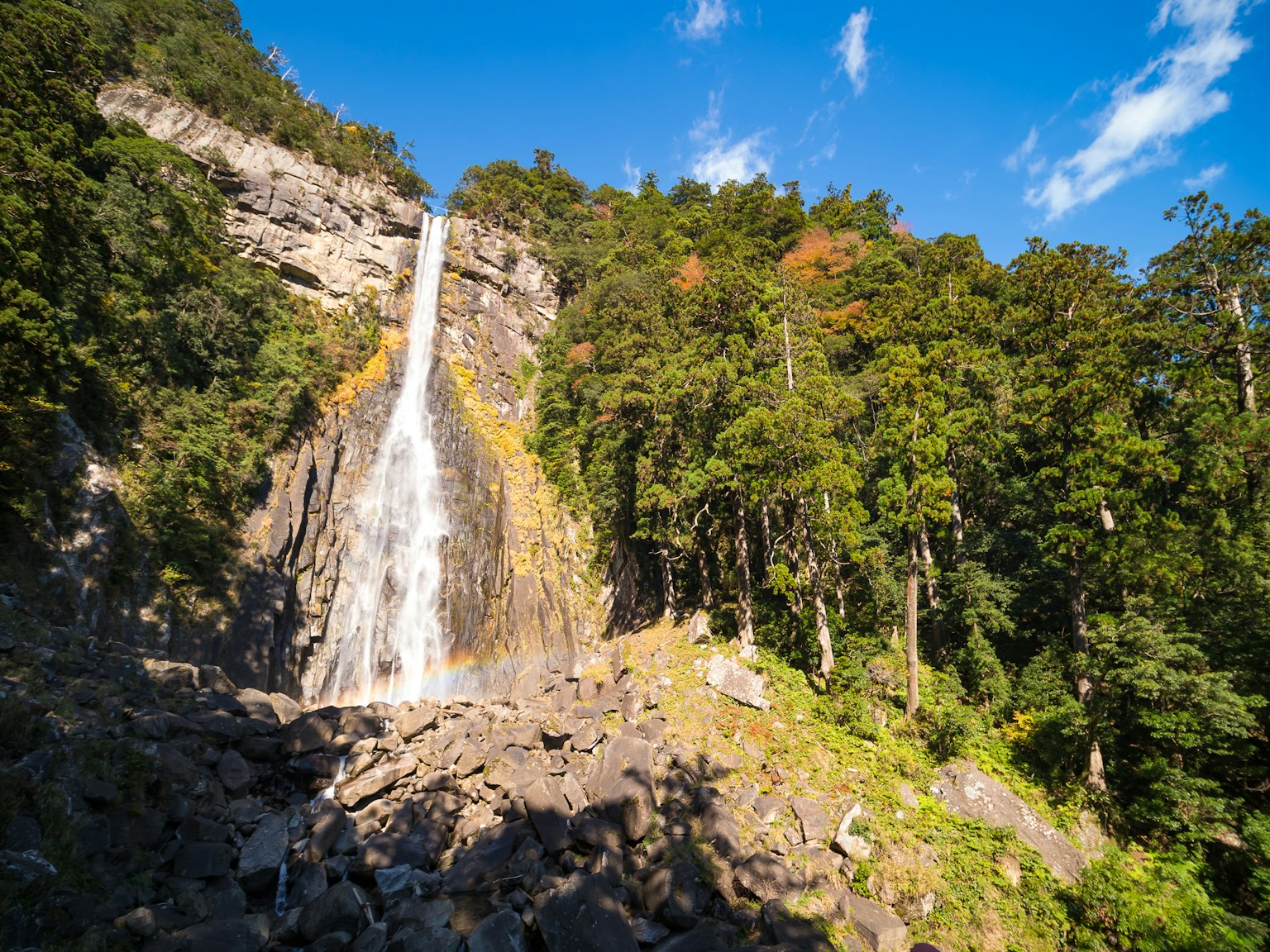 Beautiful waterfall surrounded by lush forest scenery