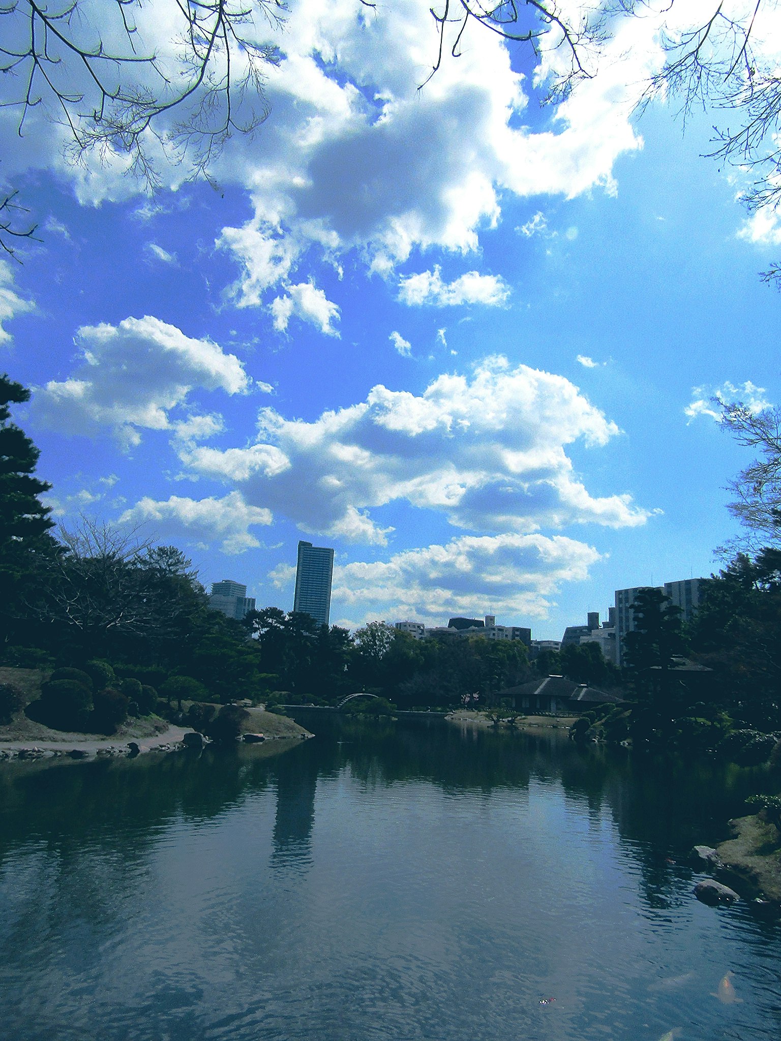 ทิวทัศน์สวนสาธารณะมีท้องฟ้าสีฟ้าและเมฆขาวฟูฟ่องเหนือบ่อน้ำสงบ