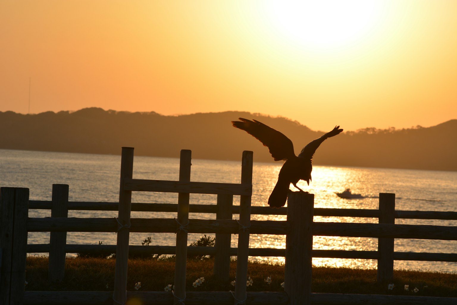 photo-2TunlUh26f03x0DKeGQN-image