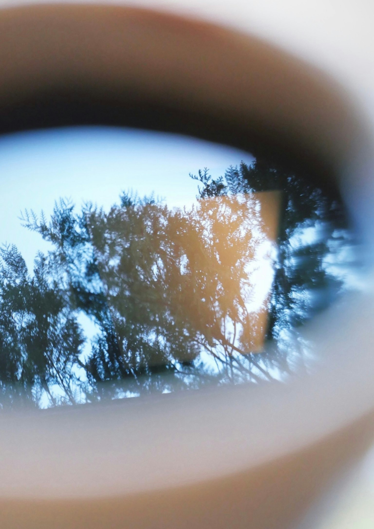 コーヒーカップの中に映る木々の反射と空の色