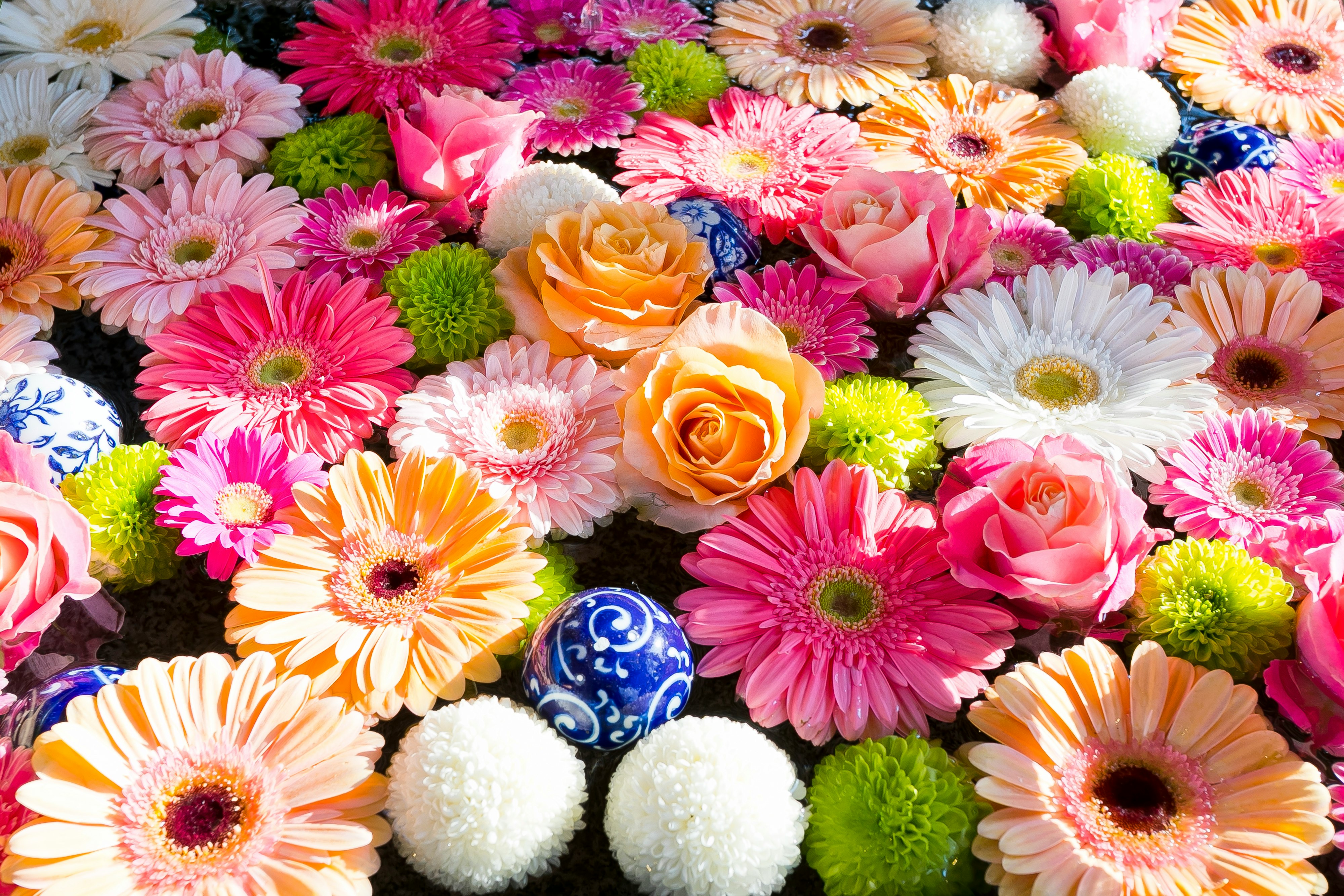 色とりどりのガーベラとバラの花束