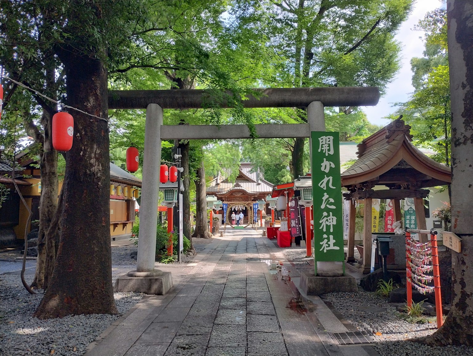 Portale torii e sentiero che conduce a un santuario circondato da vegetazione lussureggiante
