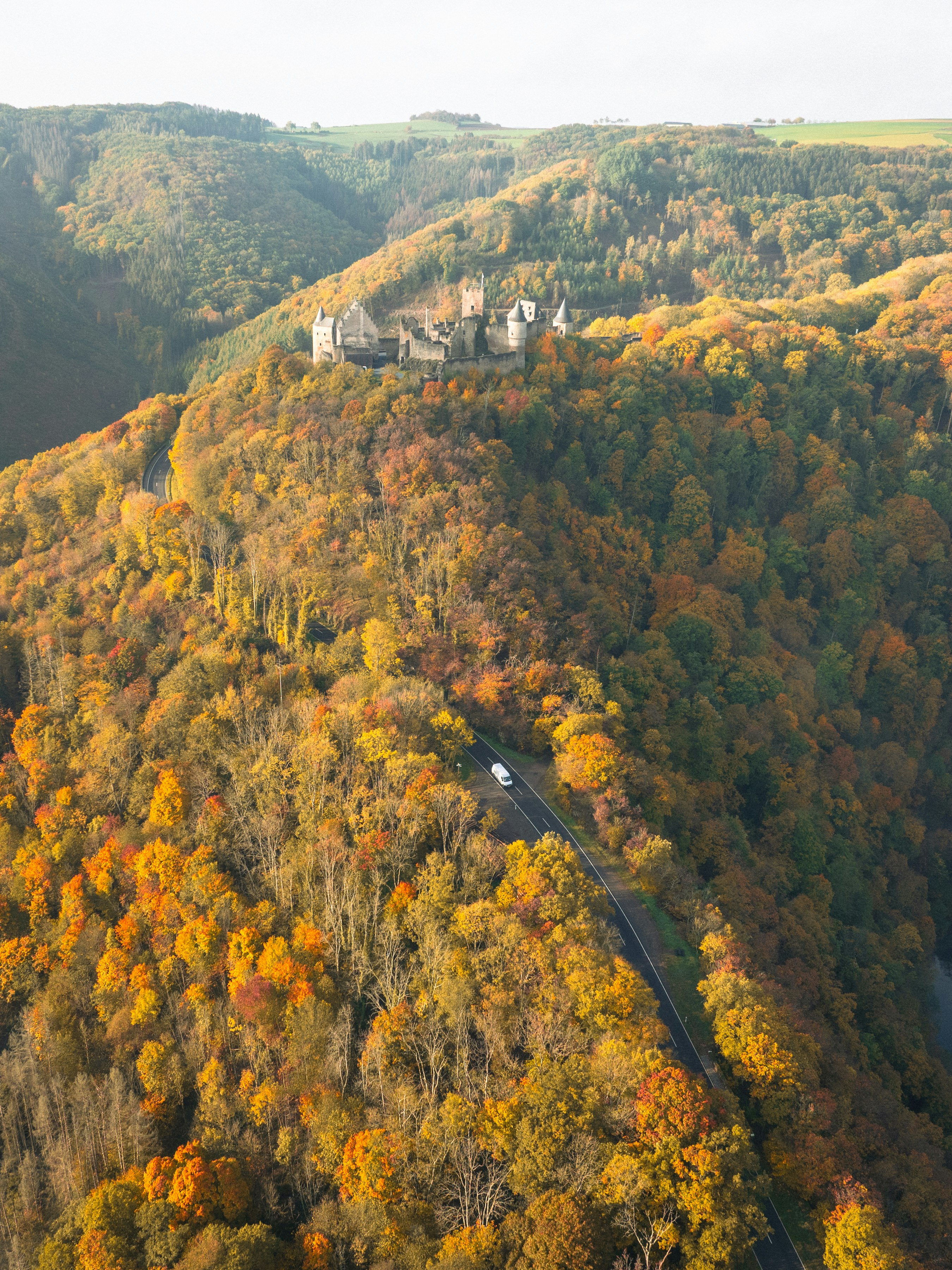秋の朝霧に包まれた城へ続く山道の風景