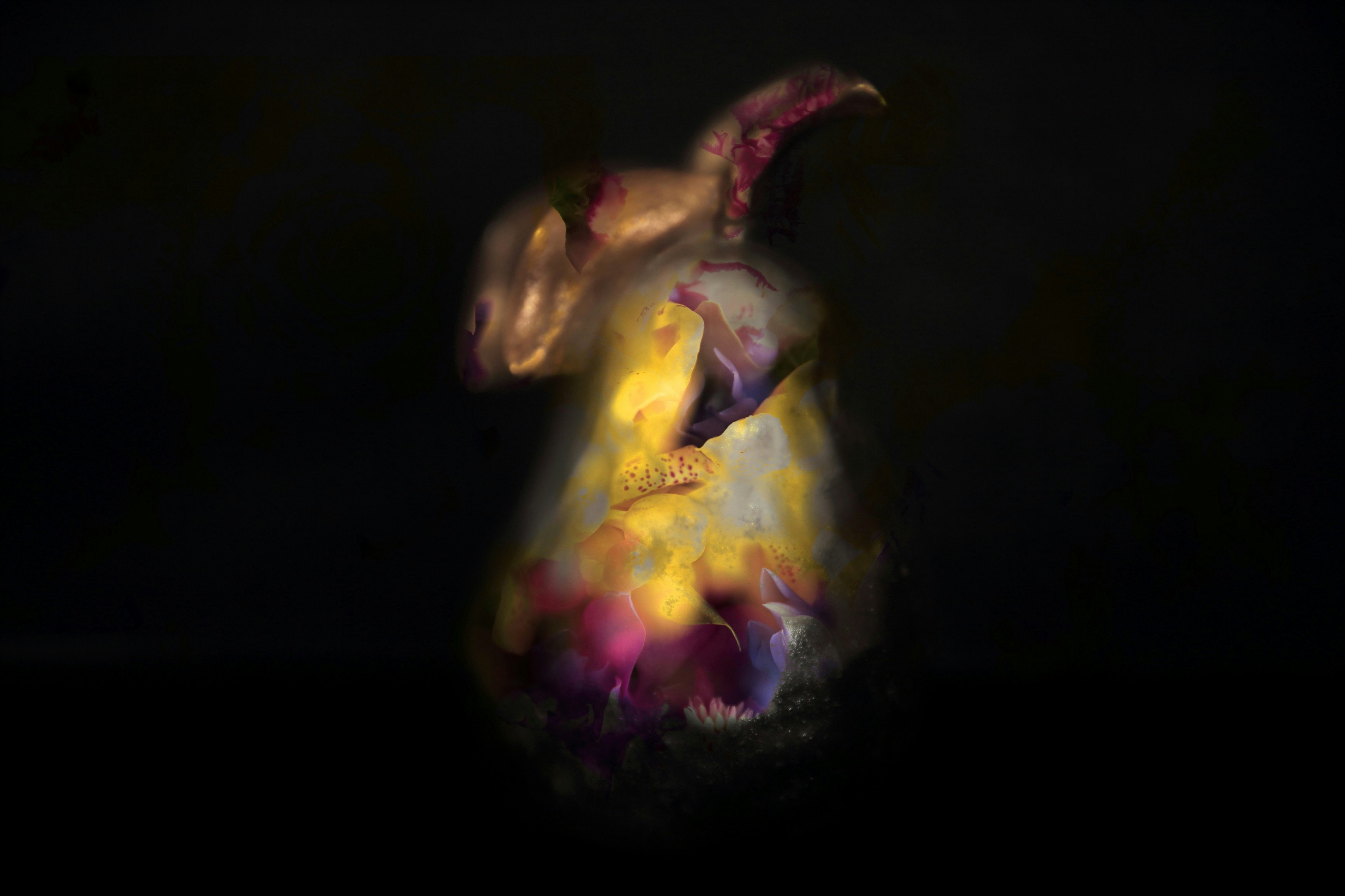 黑暗中的抽象火焰般發光形態