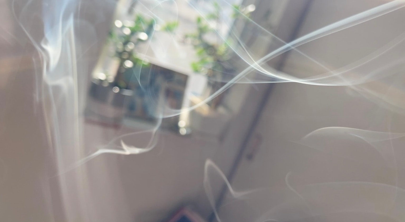 Rauch wirbelt in einem Raum mit grünen Pflanzen, die durch ein Fenster sichtbar sind