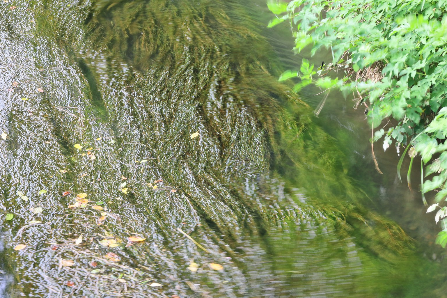 photo-2WDANzrixNUcUpqRa2wq-image