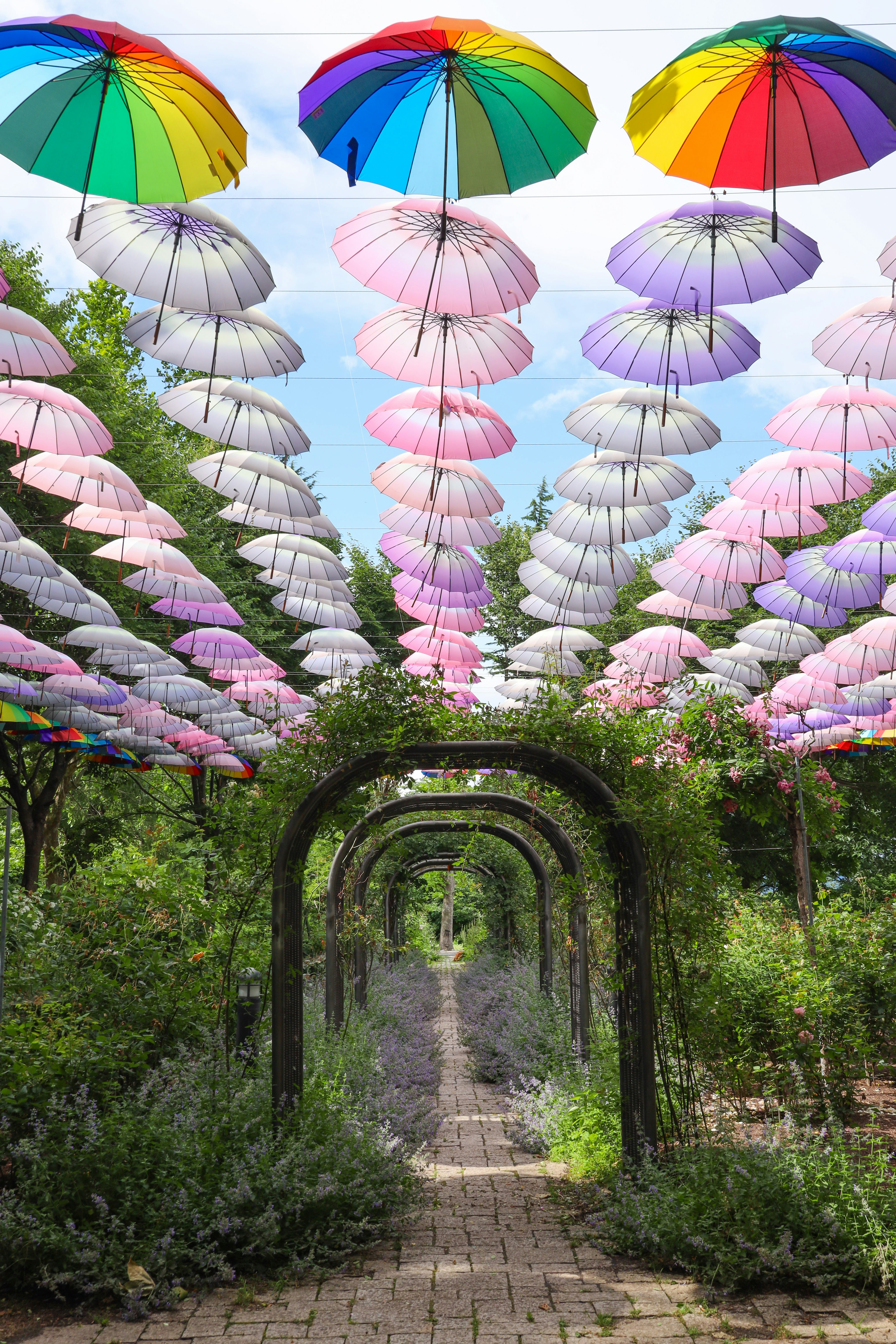 sentiero nel giardino YakuRai con ombrelli colorati in fila