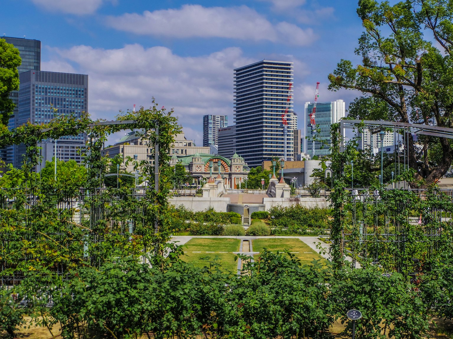城市天際線與郁郁蔥蔥的花園景觀