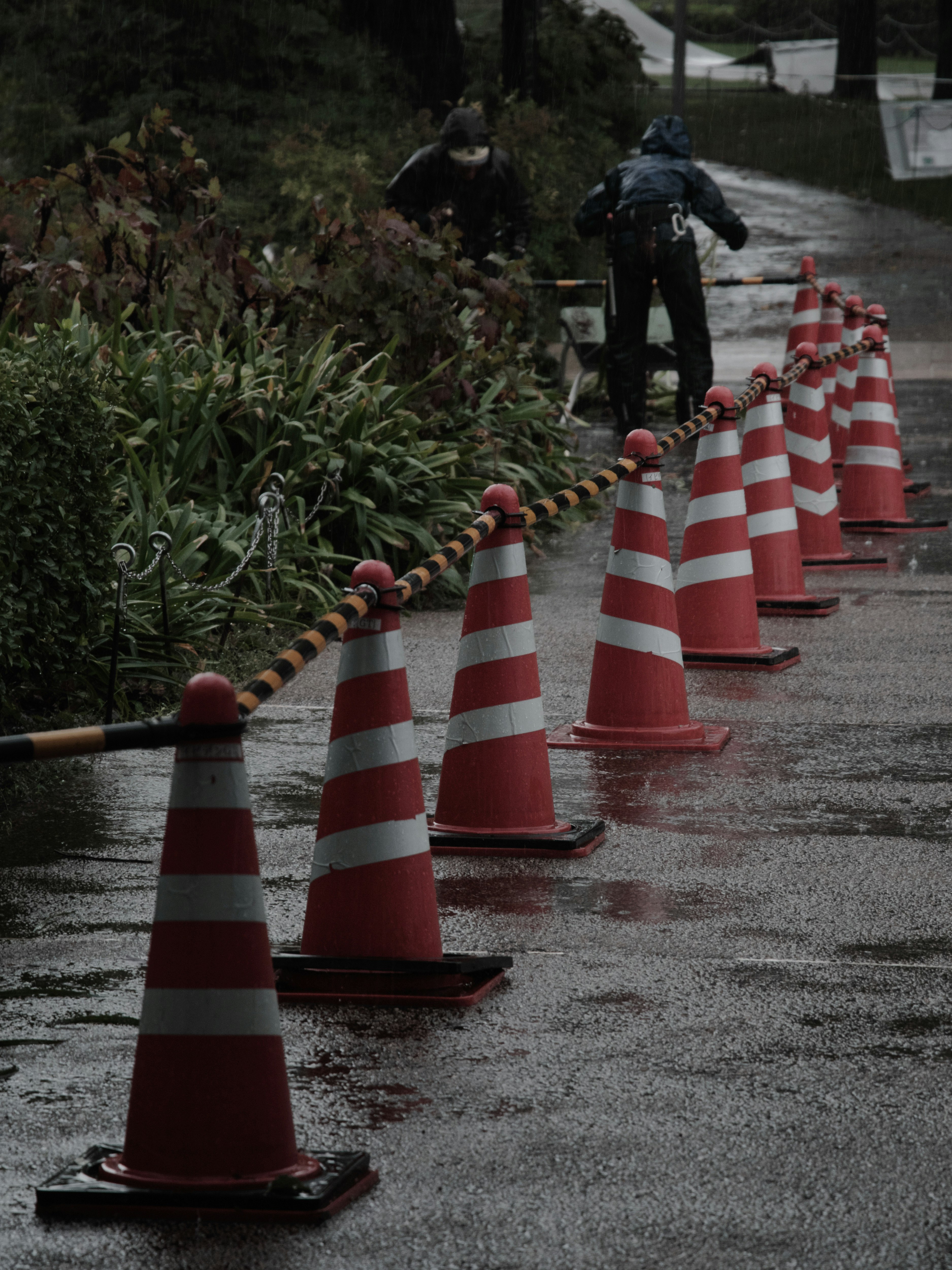 安全を守る赤白のコーンが並ぶ雨の路上