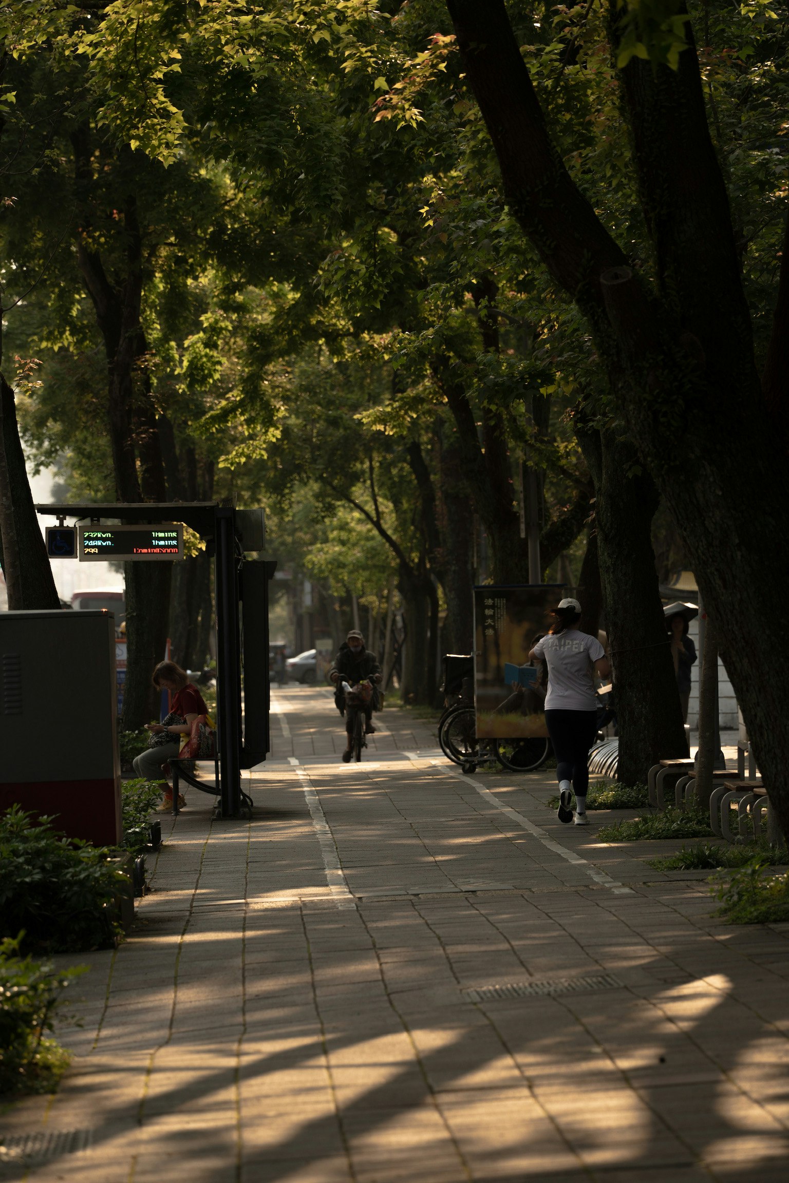 並木道を歩く人々のある街路の風景