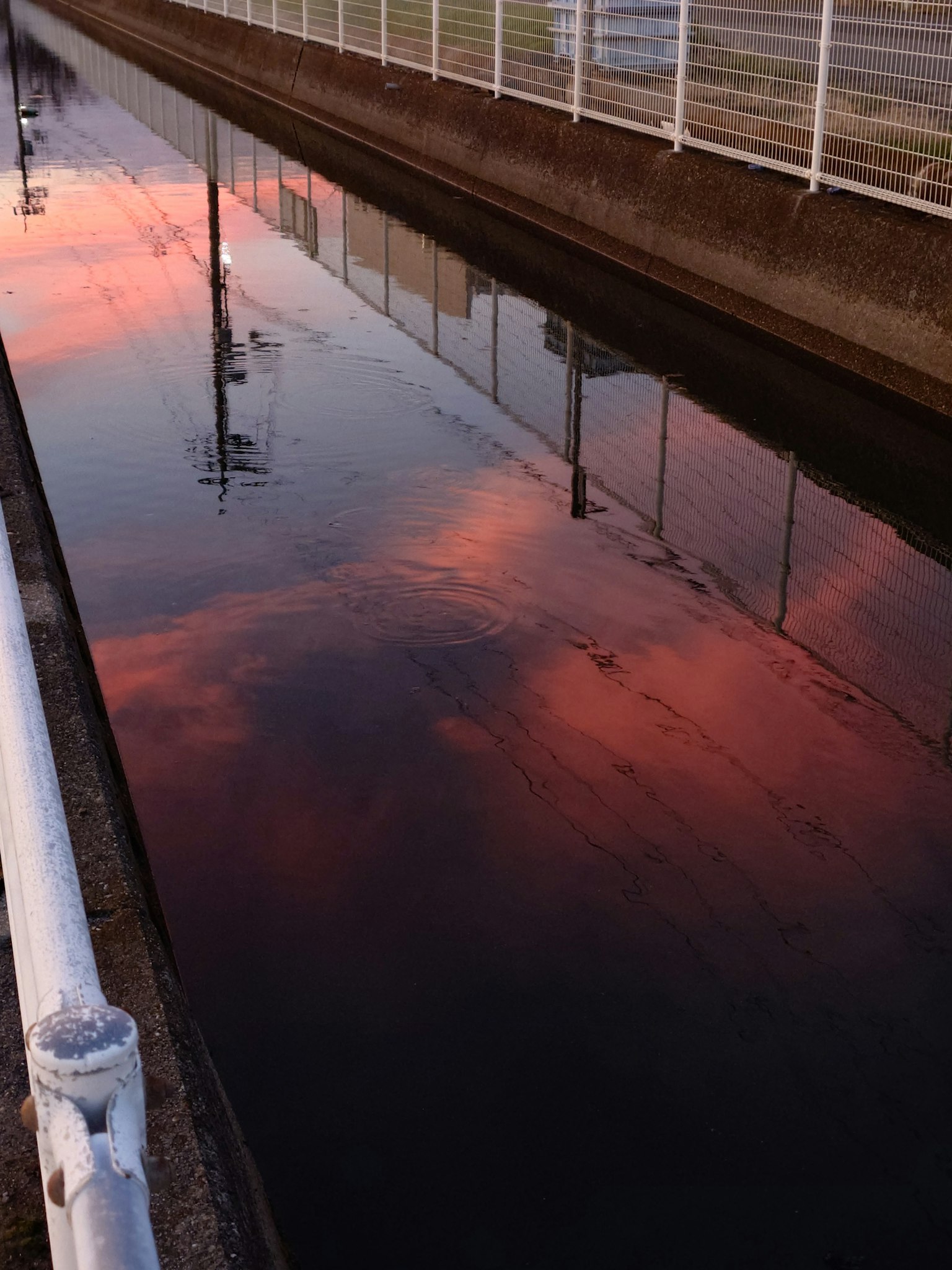 Riflesso dei colori del tramonto in un canale con silhouette di pali elettrici