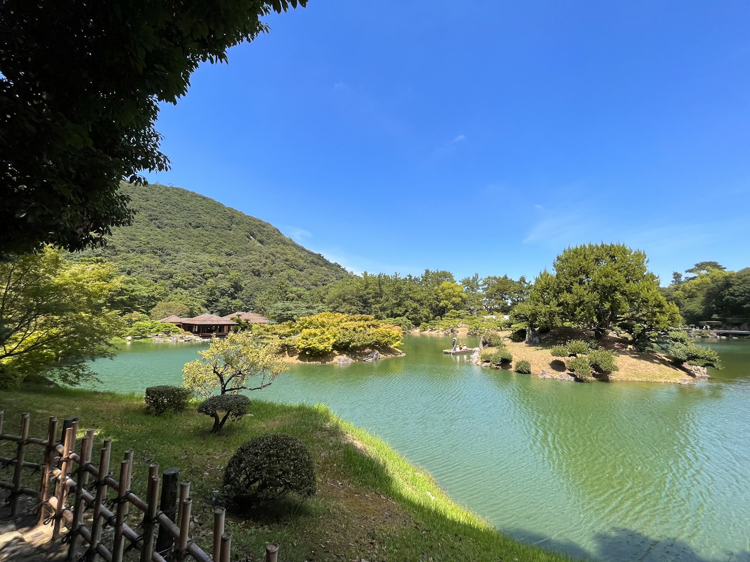 宁静的池塘景观，四周环绕着绿色树木和蓝天
