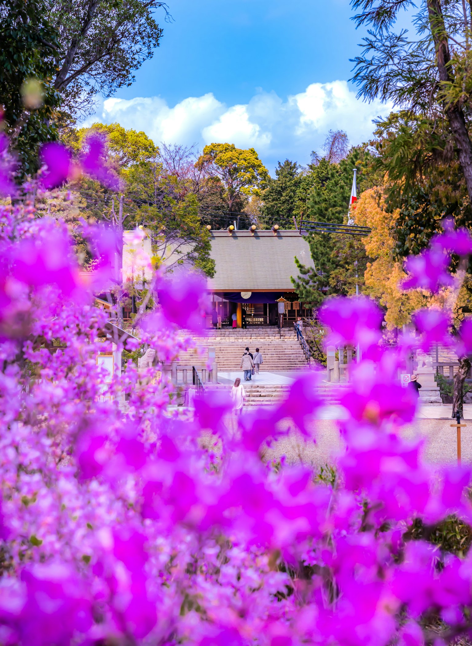 Beautiful view with blooming purple flowers and a shrine in the background