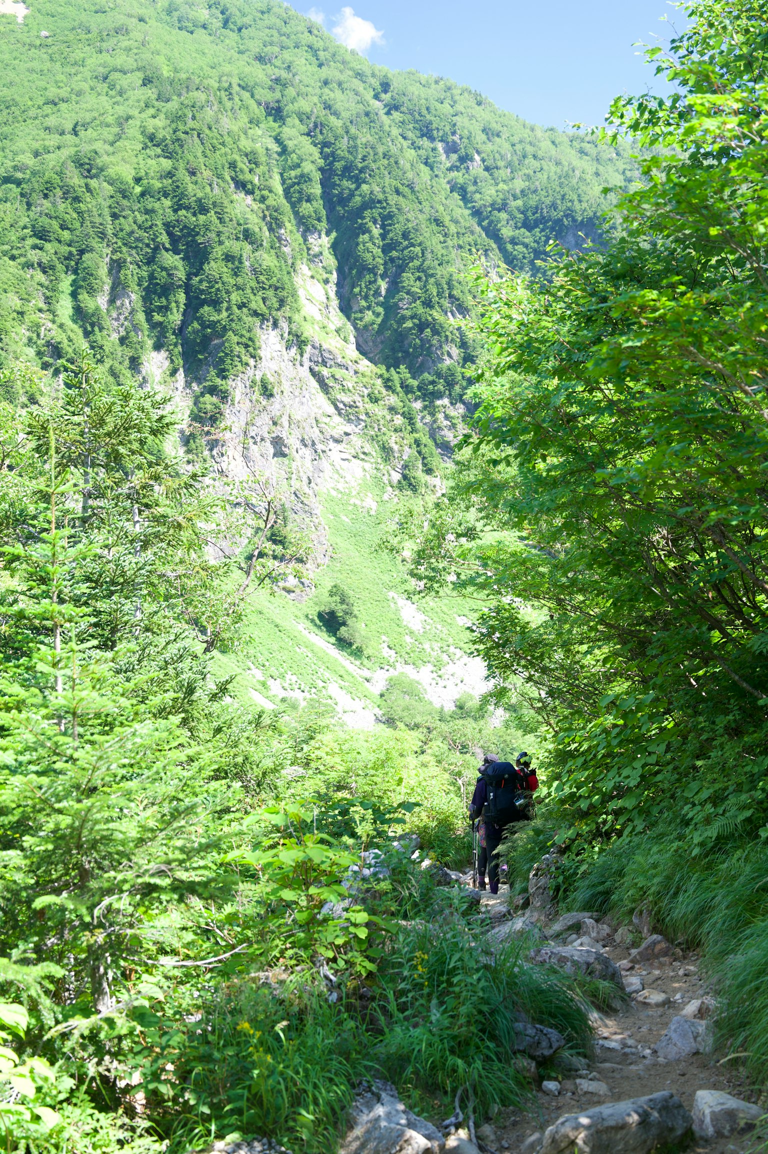 Ein Wanderer, der einen üppigen grünen Bergweg hinaufsteigt