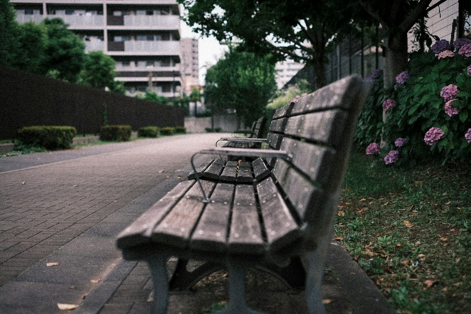 Foto di una panchina nel parco circondata da vegetazione e fiori