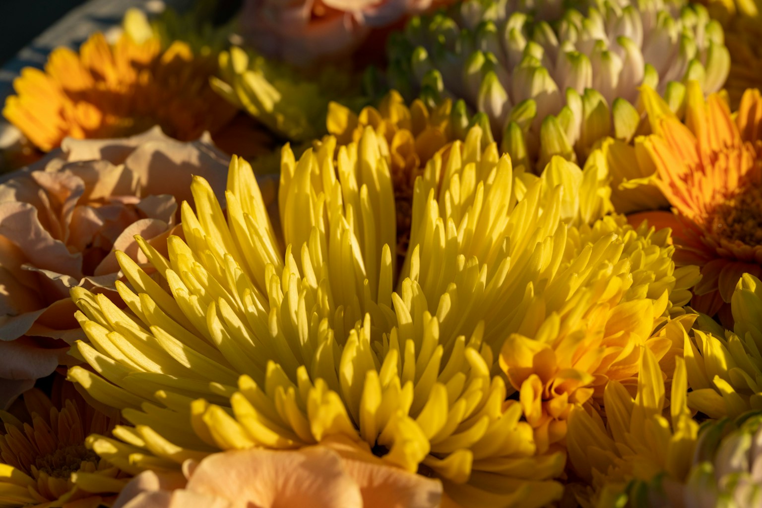 Un arrangement vibrant de fleurs colorées avec des fleurs jaunes et orange éclatantes