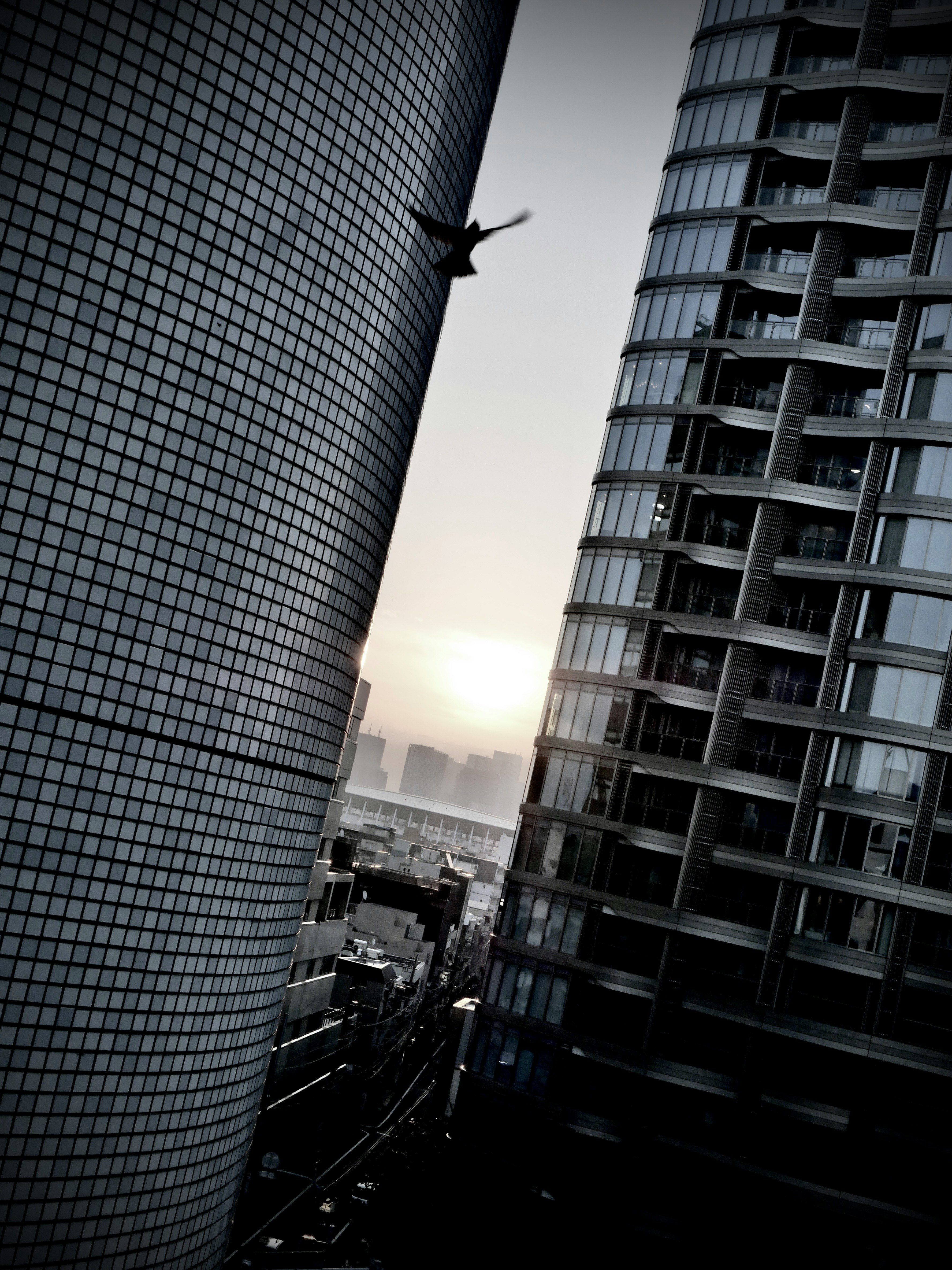 高層ビルの間から見える夕日と都市の景観