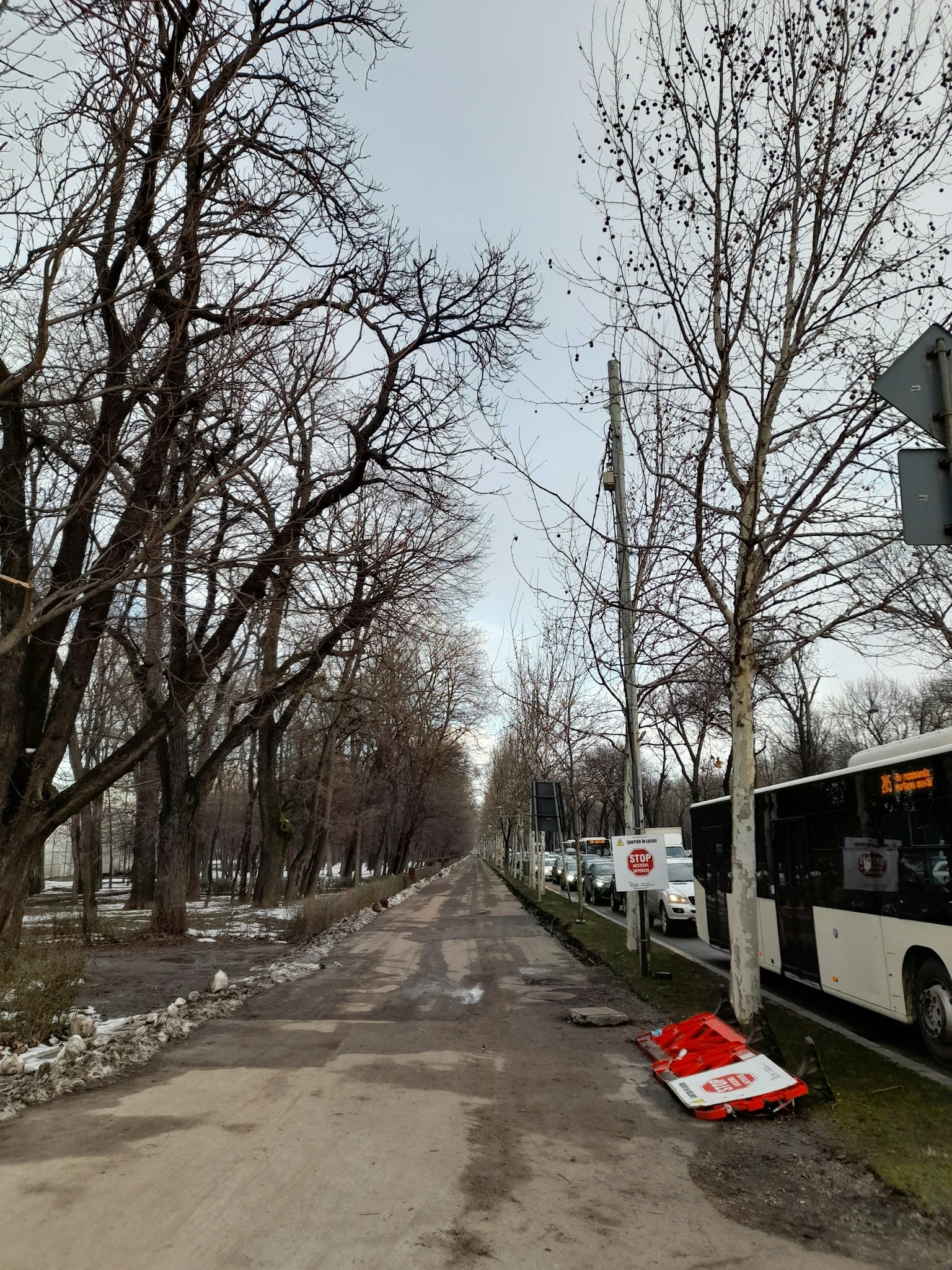 Calle urbana con árboles desnudos y autobuses estacionados