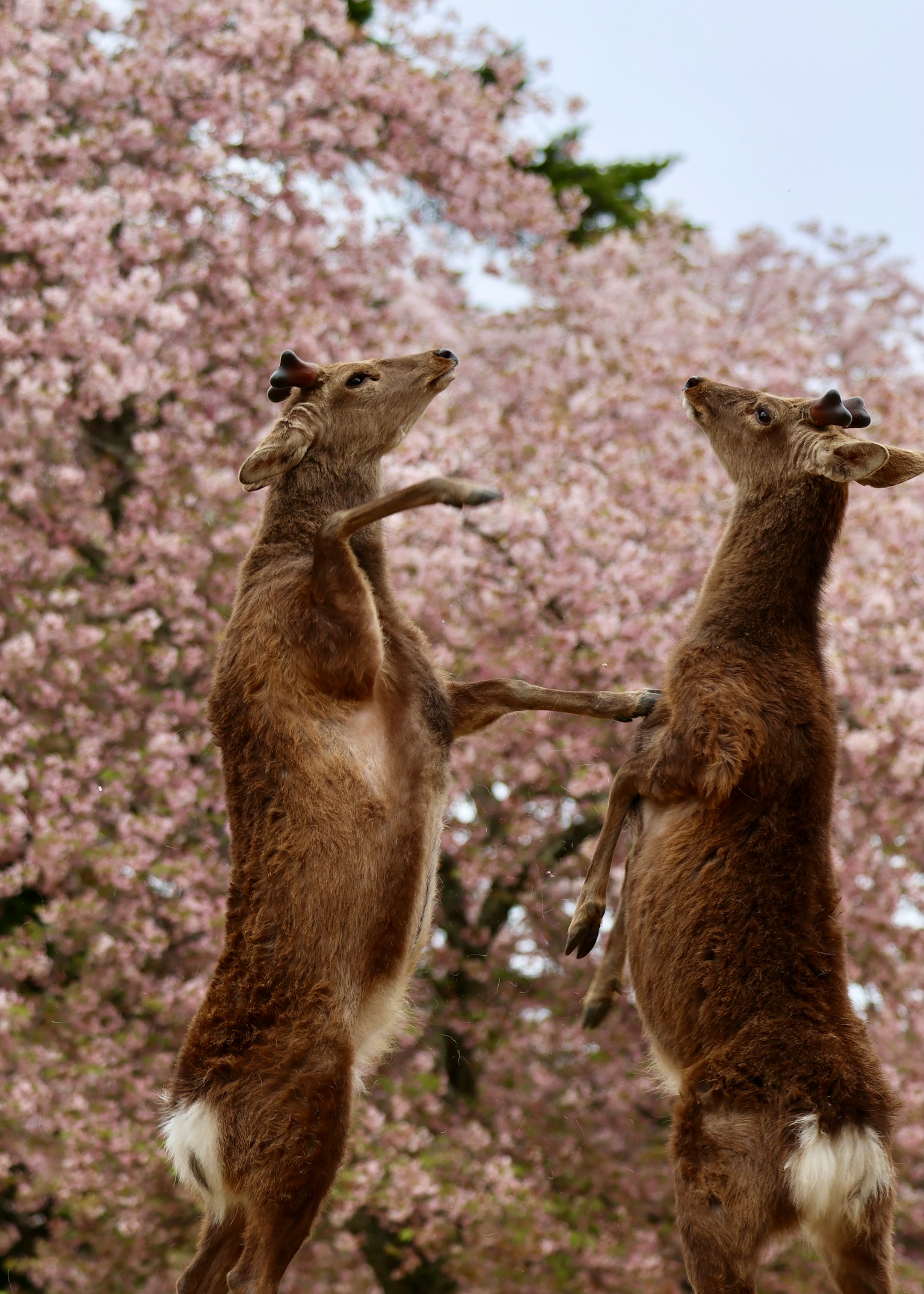 photo-2YdylZ6ZEHRldhiR3VX0-image