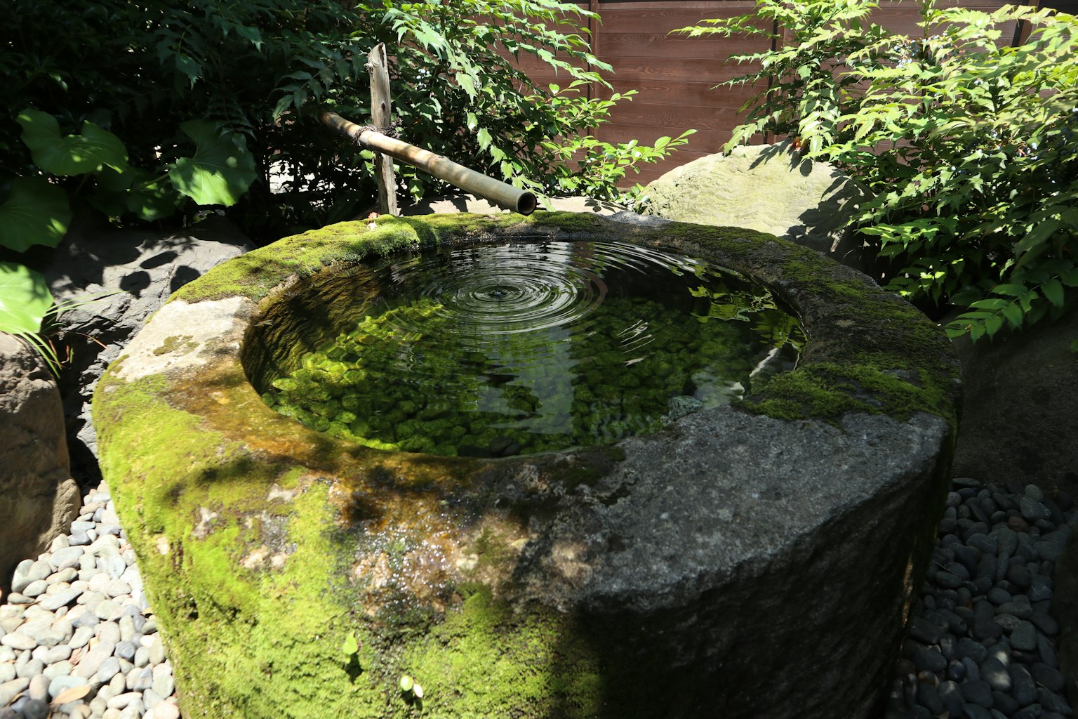 Antico pozzo in pietra coperto di muschio verde cerchi sull'acqua