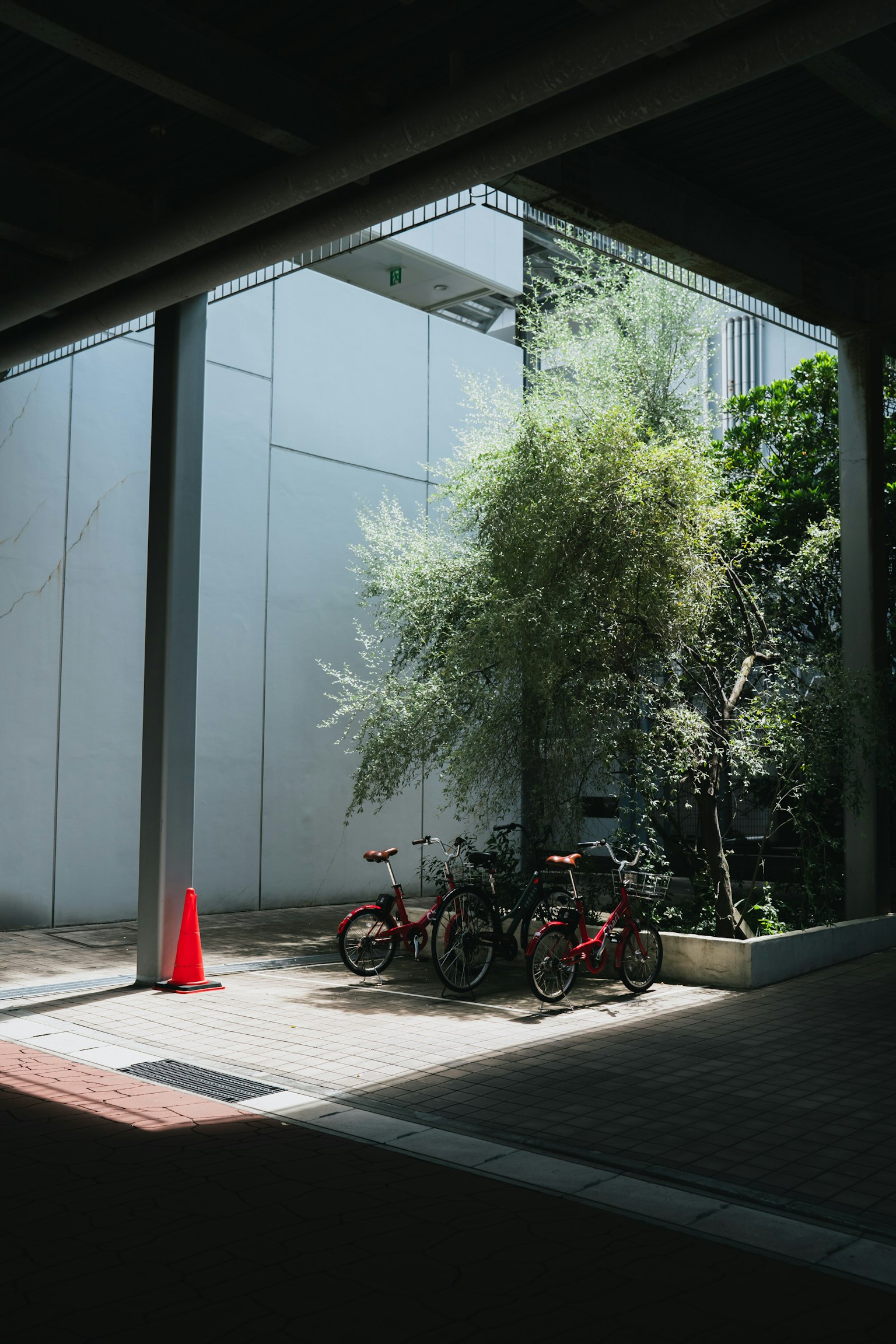 Vélos garés dans une zone ombragée avec un cône rouge et des plantes vertes