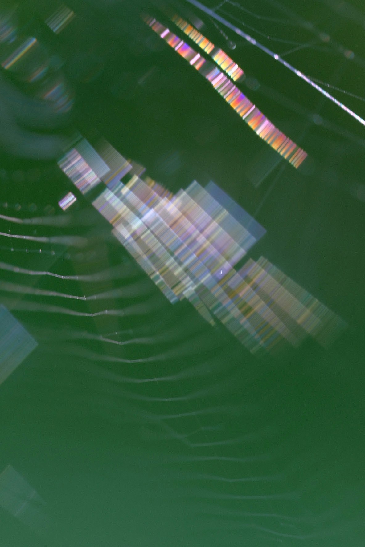 lignes lumineuses abstraites et motifs géométriques sur tissu vert