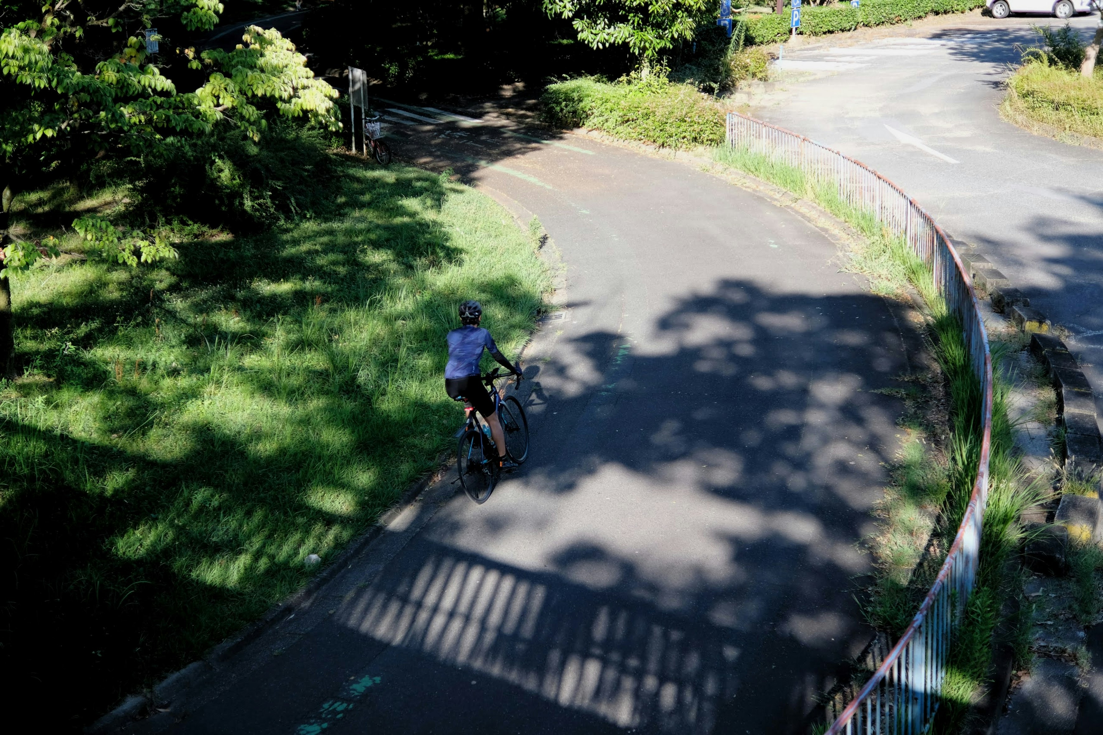 自転車ゾーンのある都市公園の園路