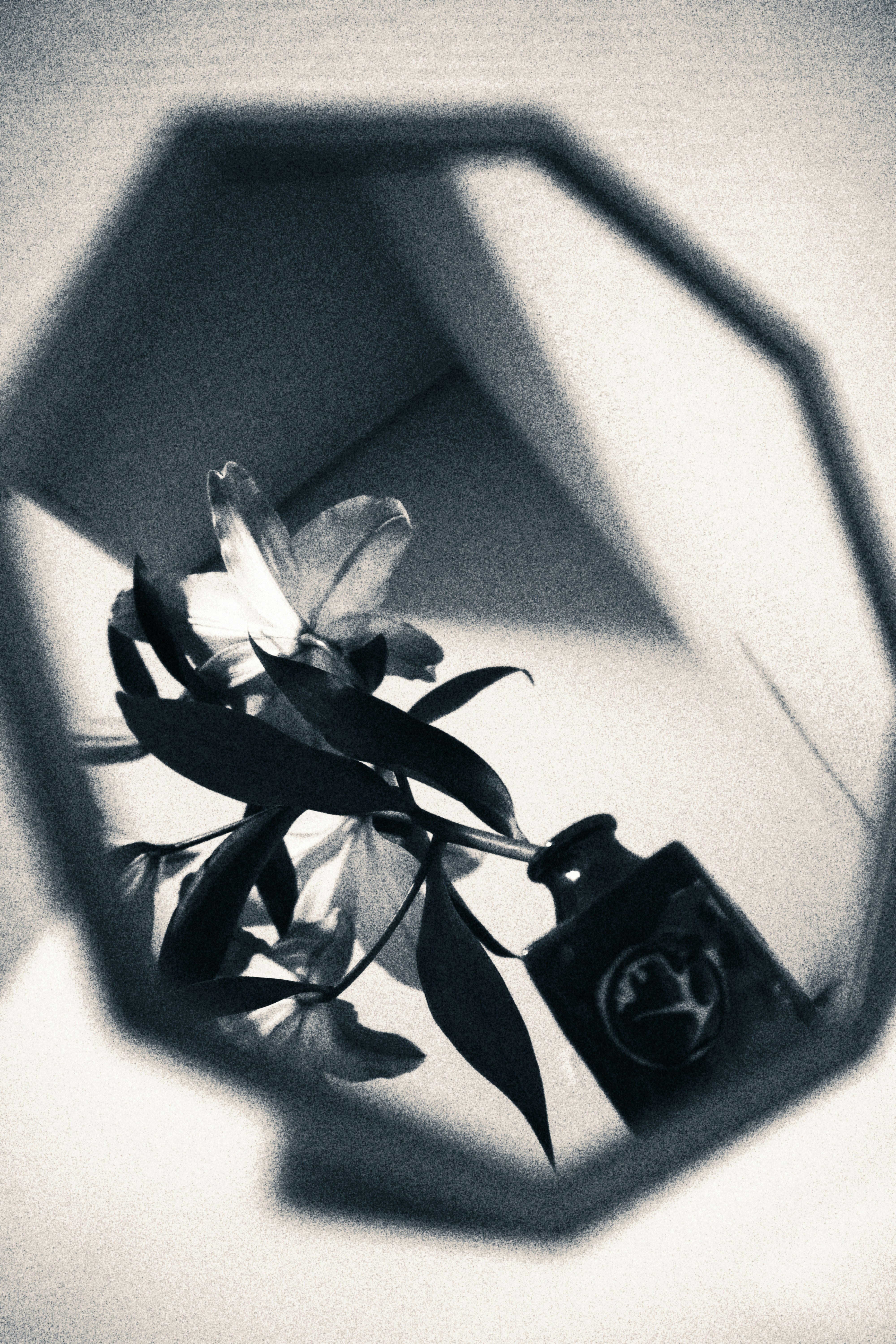 photo-2ZdkPE77YcSPAGe5PjdC-image