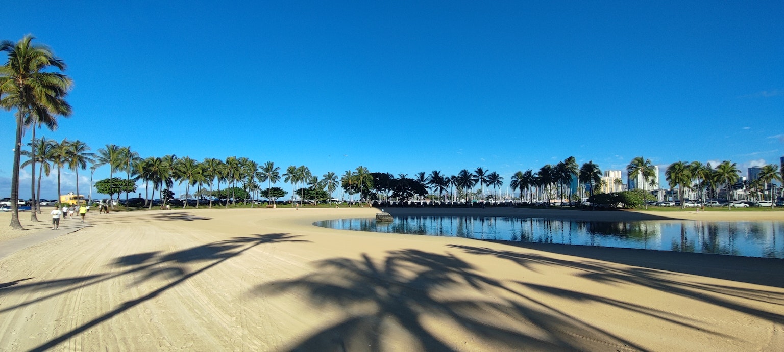 Scenic beach view with palm tree shadows under a clear blue sky
