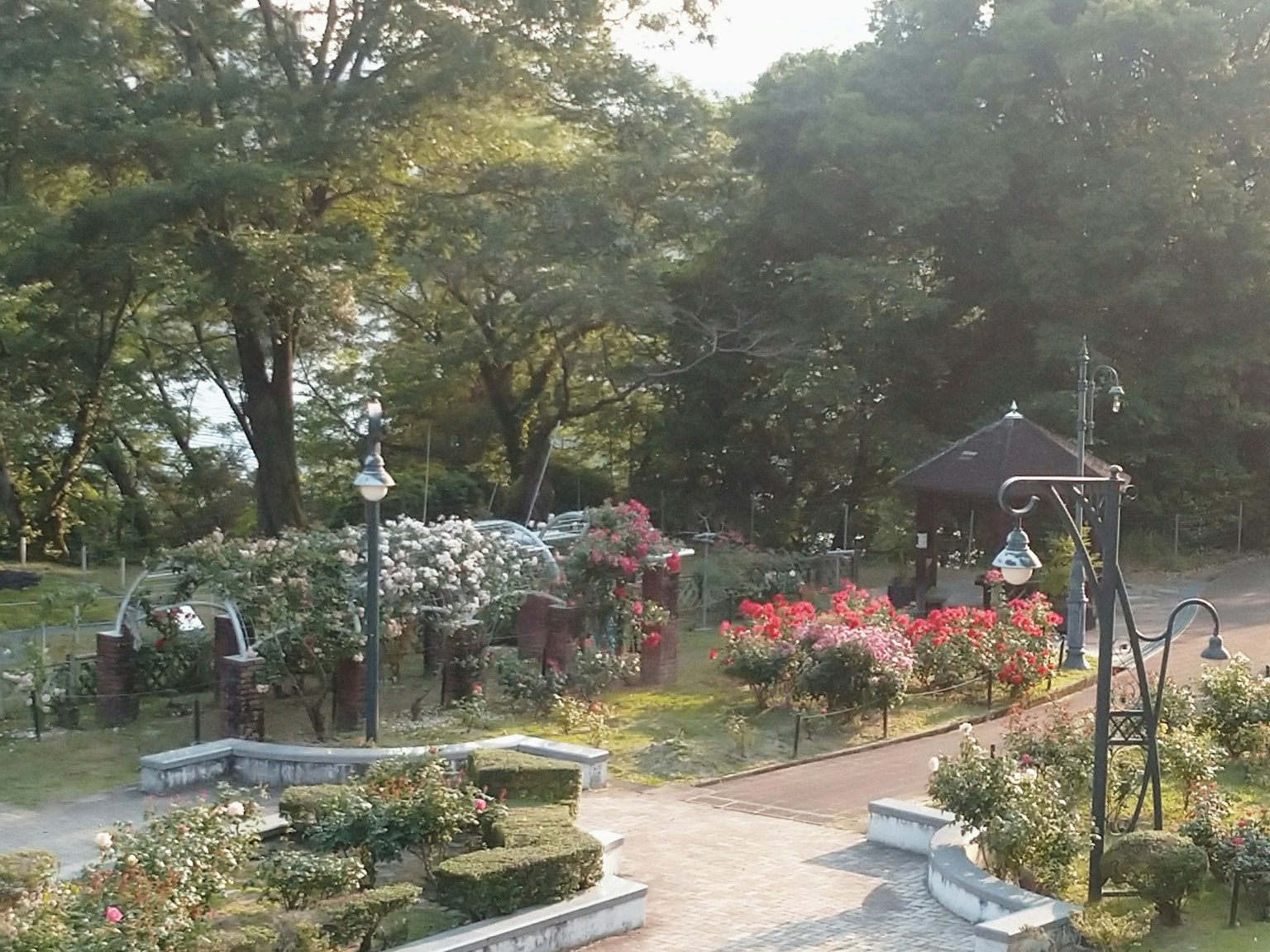 Schöne Parkszene mit blühenden Blumen und üppigen grünen Bäumen