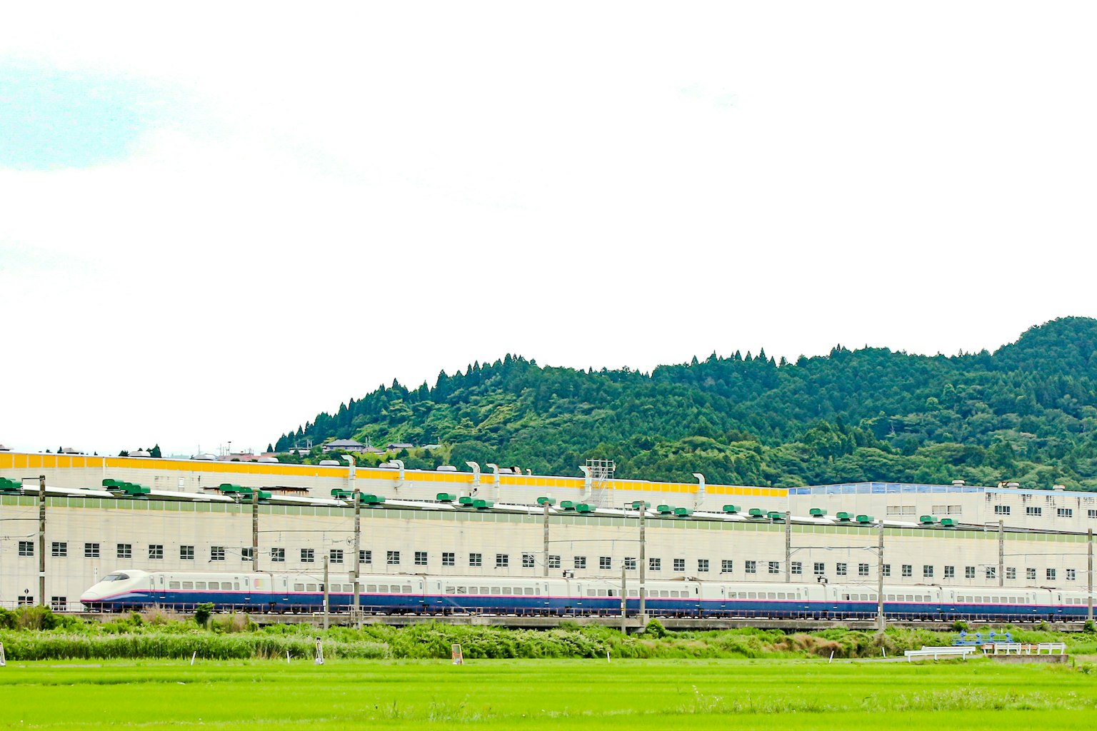 白色工厂建筑位于绿色山丘和稻田附近