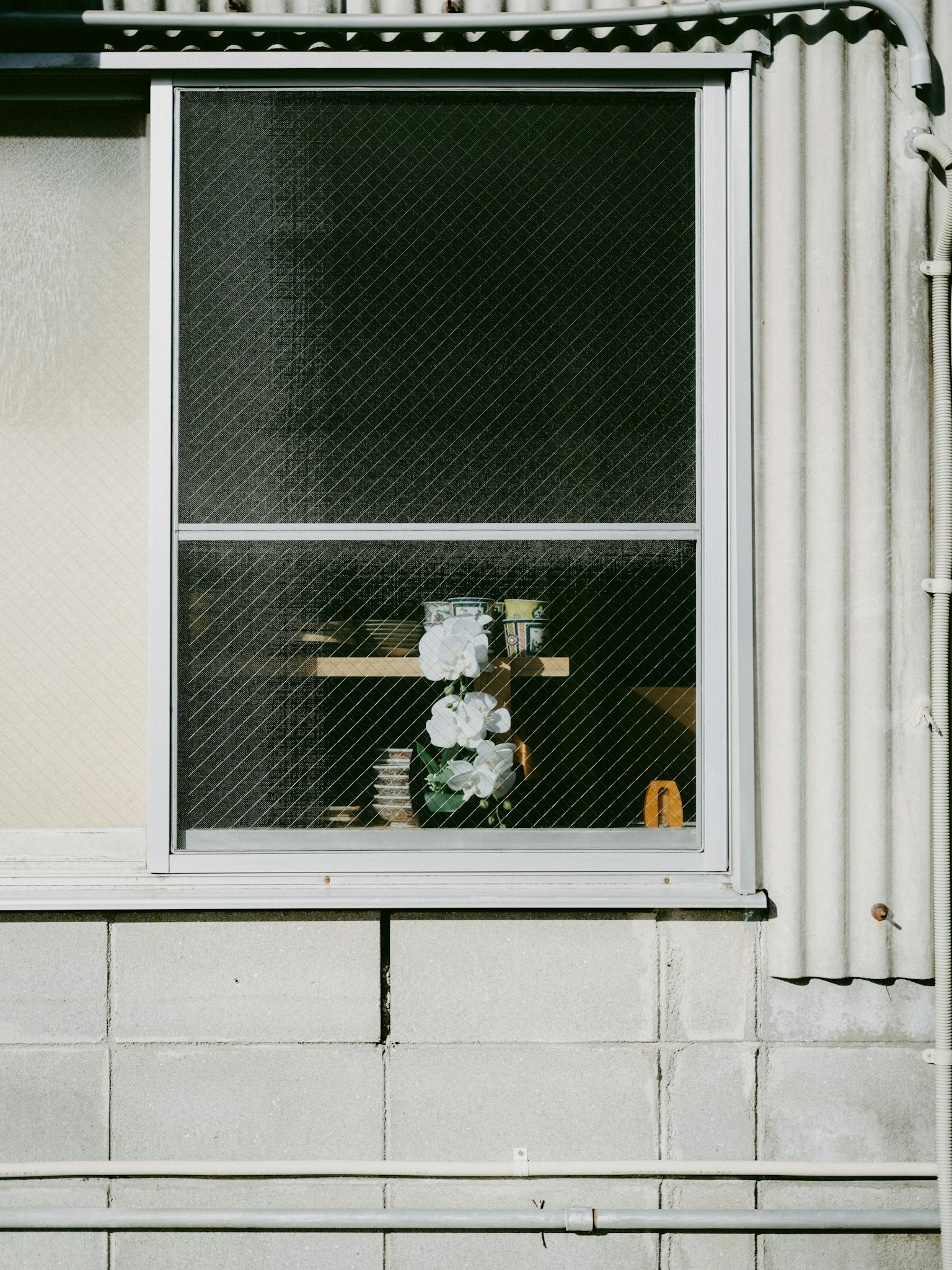 窗户内展示植物和物件的简单景观