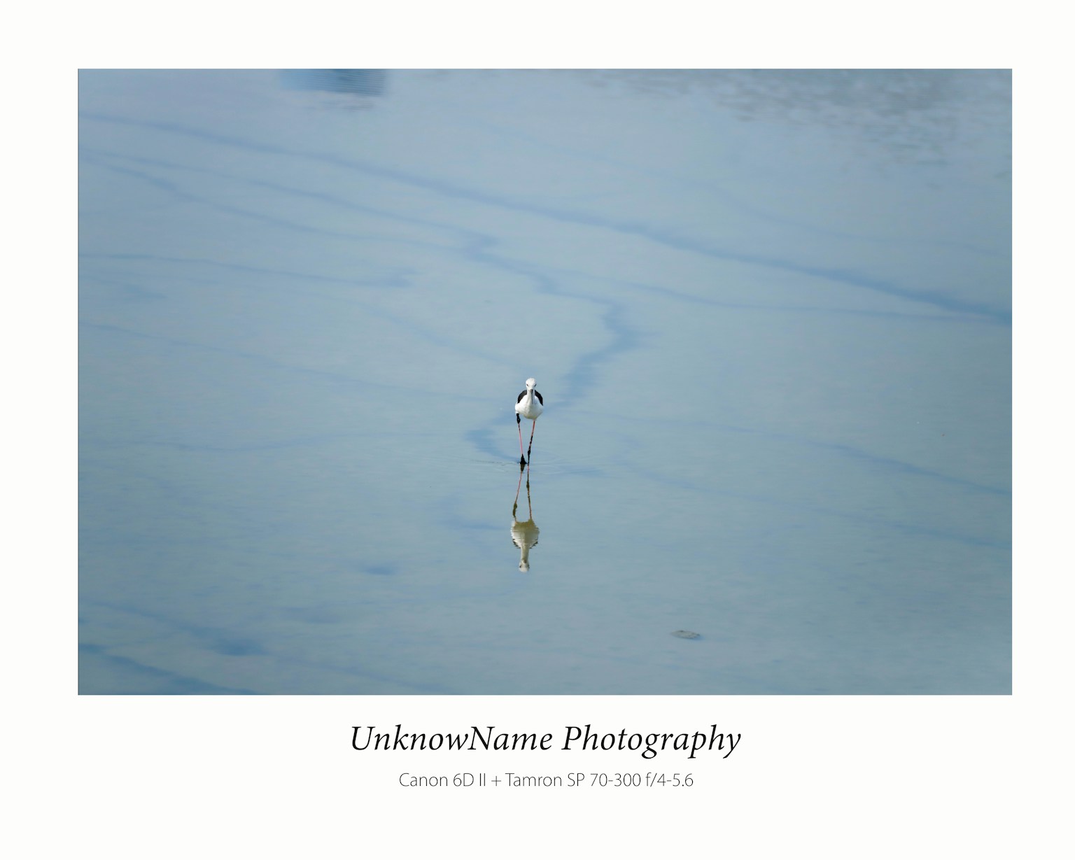 photo-2aAhhcskf2QC9Mh40PpJ-image