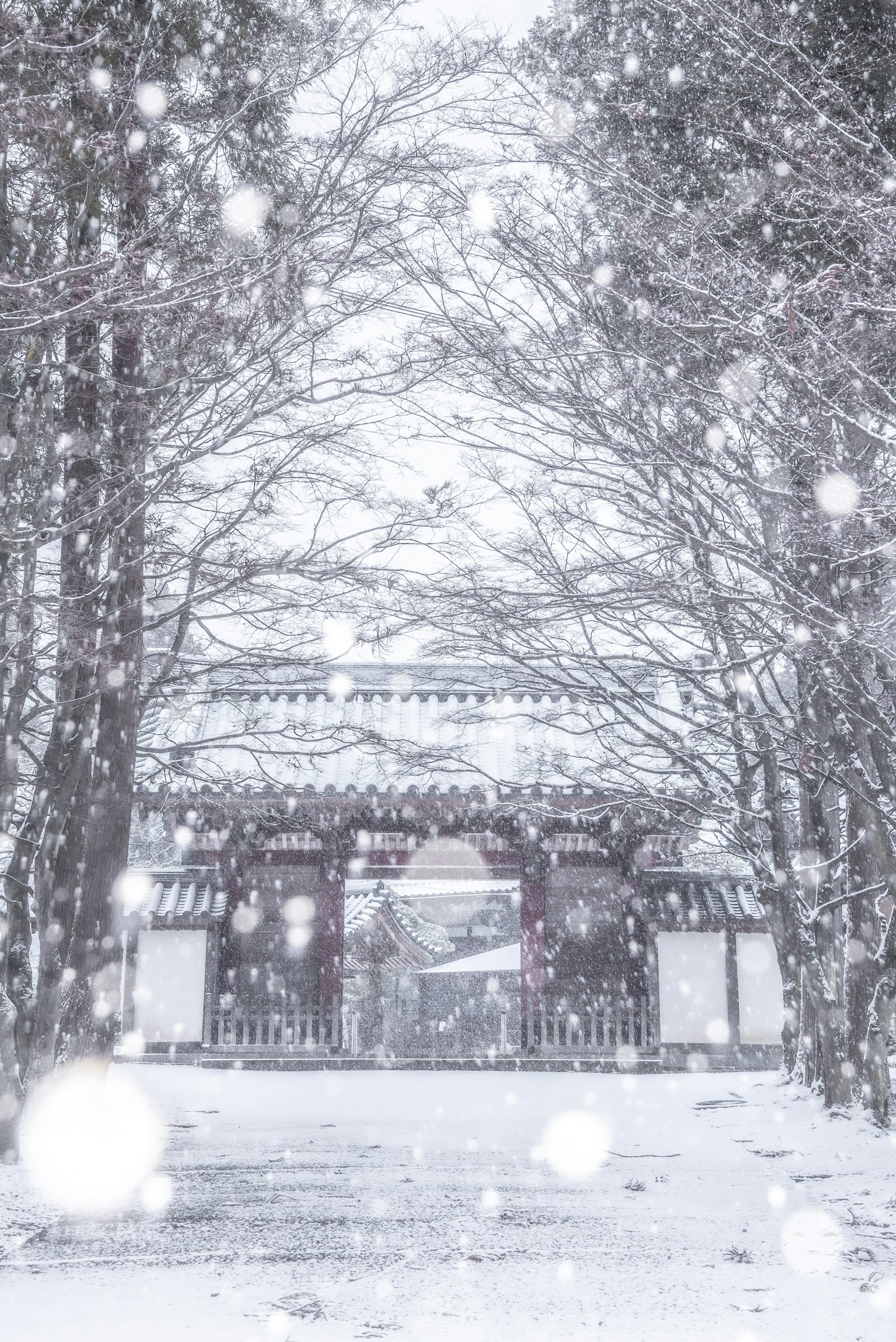 Porte du temple dans la neige avec des arbres alignés
