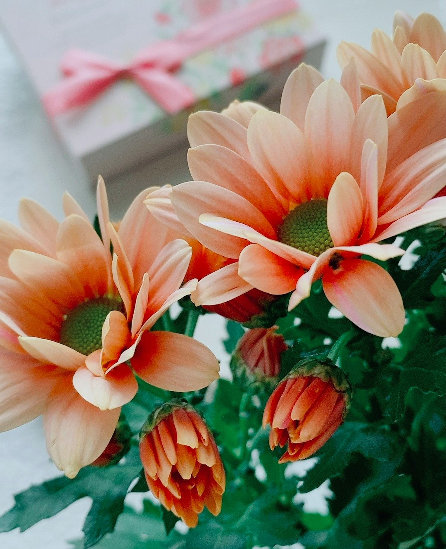 Bouquet di margherite arancioni con foglie verdi sullo sfondo