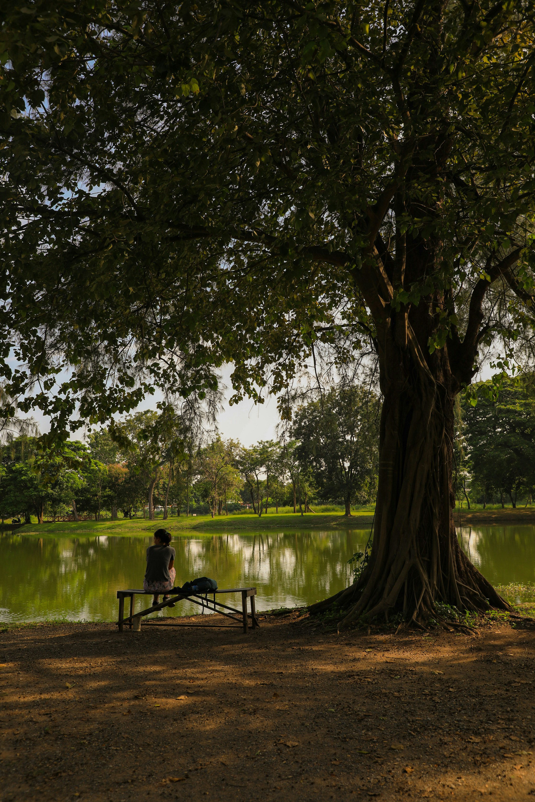 Park am Fluss in Ayutthaya mit einer Person, die im Schatten eines großen Baums sitzt