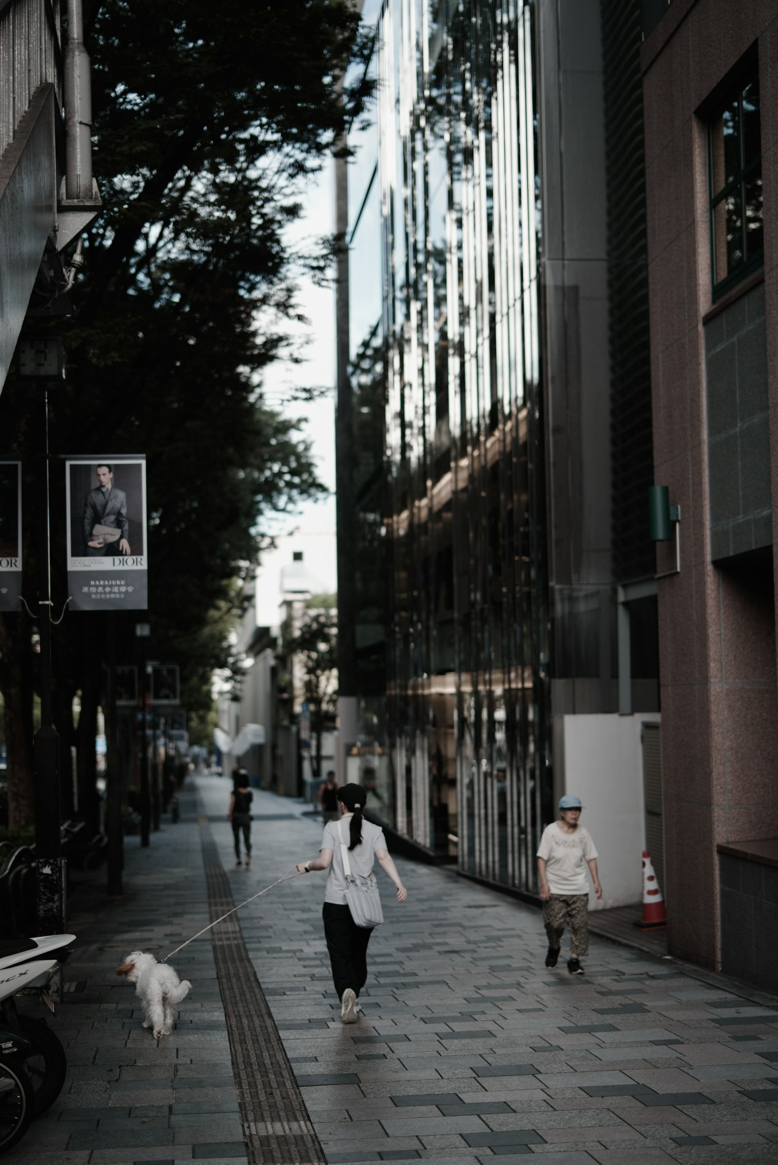 Urban scene with people walking and a dog on a quiet street