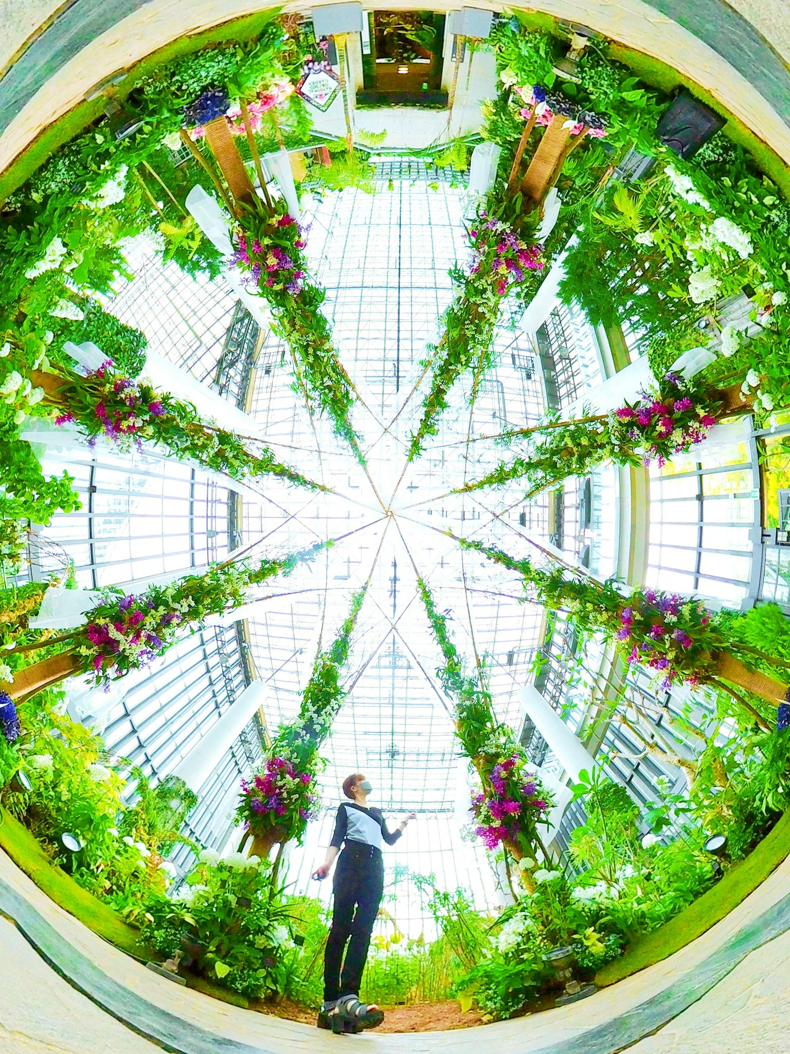 Personne debout entourée de verdure luxuriante dans un jardin intérieur circulaire