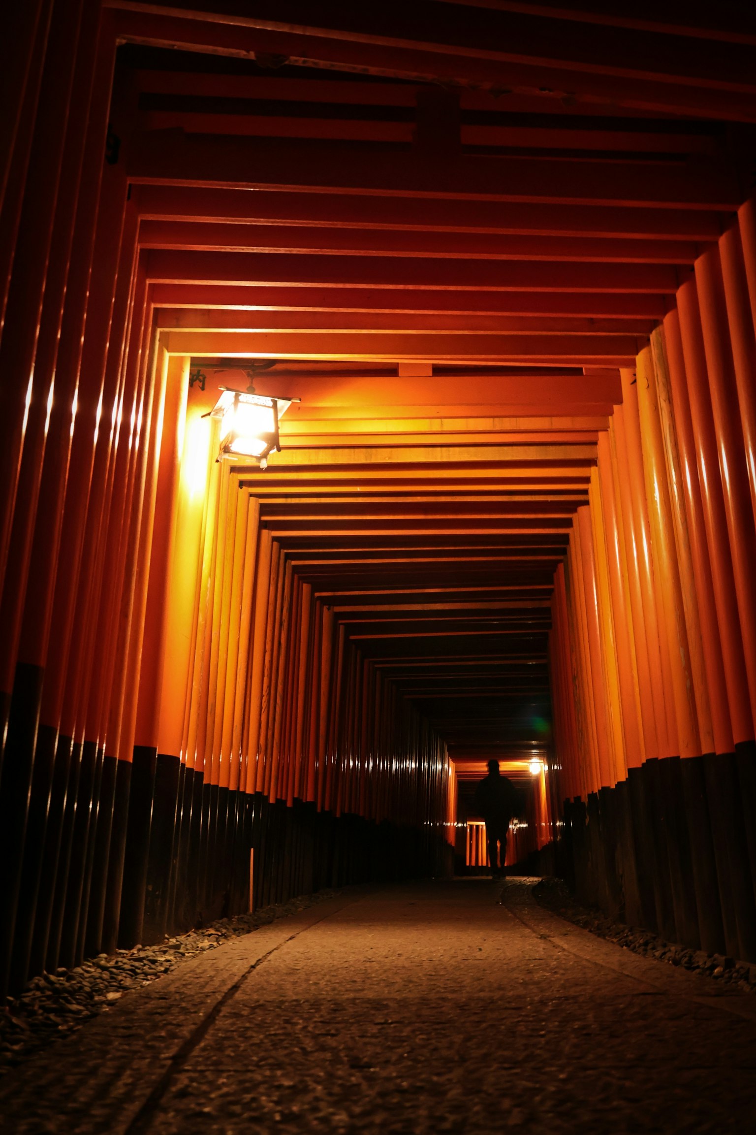 伏見稻荷大社紅色鳥居隧道的內部夜景